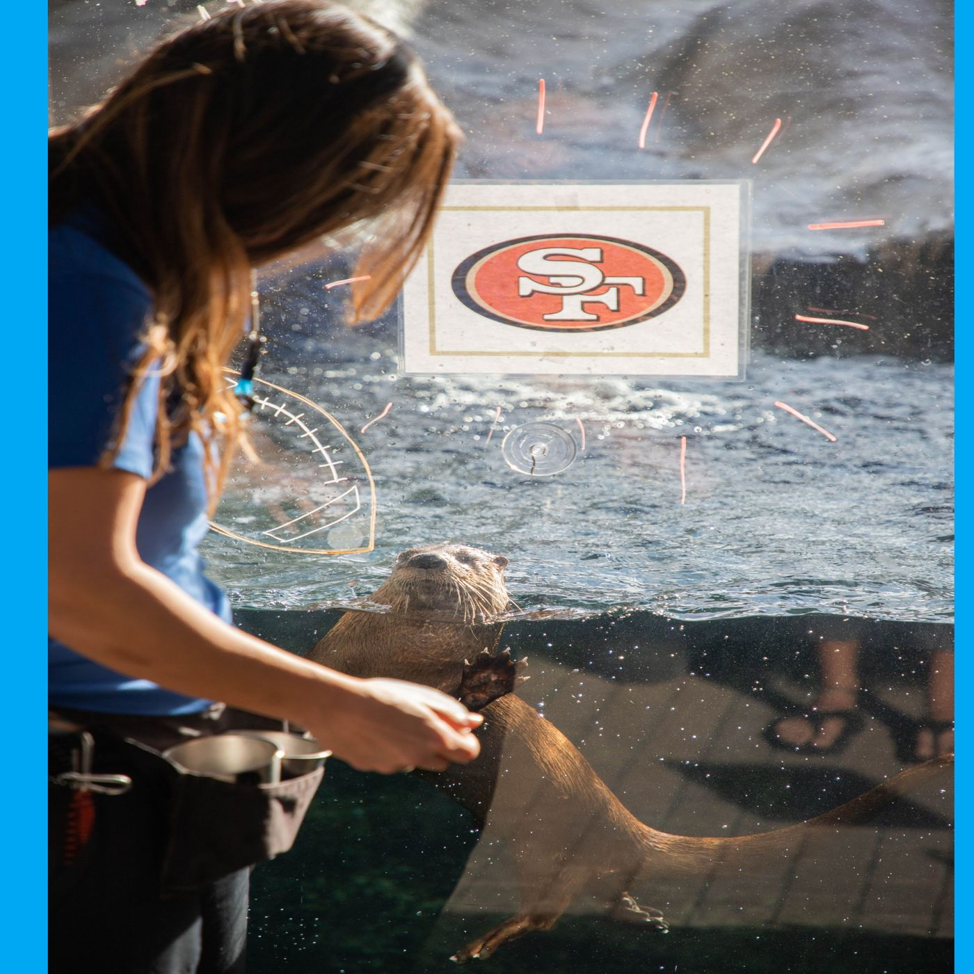 Stephannie Kettle - Mote Marine Lab - Who Otter Win the Super Bowl episode artwork