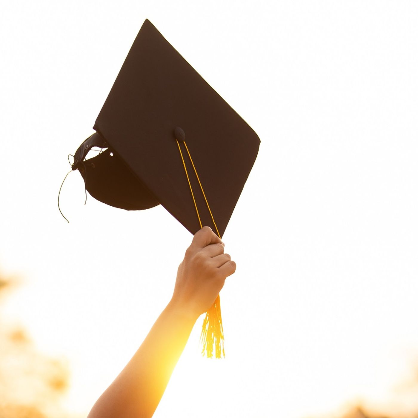 Airbnb Warns About Scams for Graduation Visitors in Tallahassee and Gainesville episode artwork