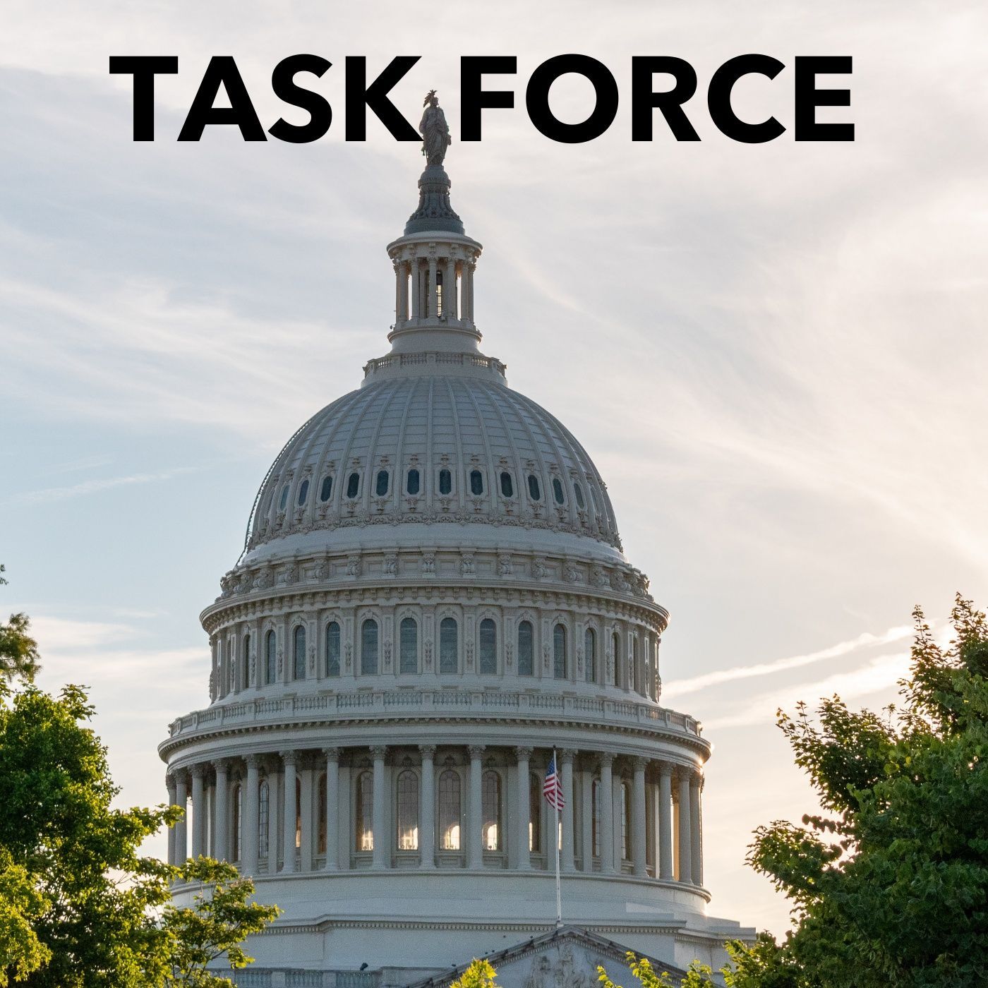 Trump Attempt Task Force - US Rep Laurel Lee episode artwork