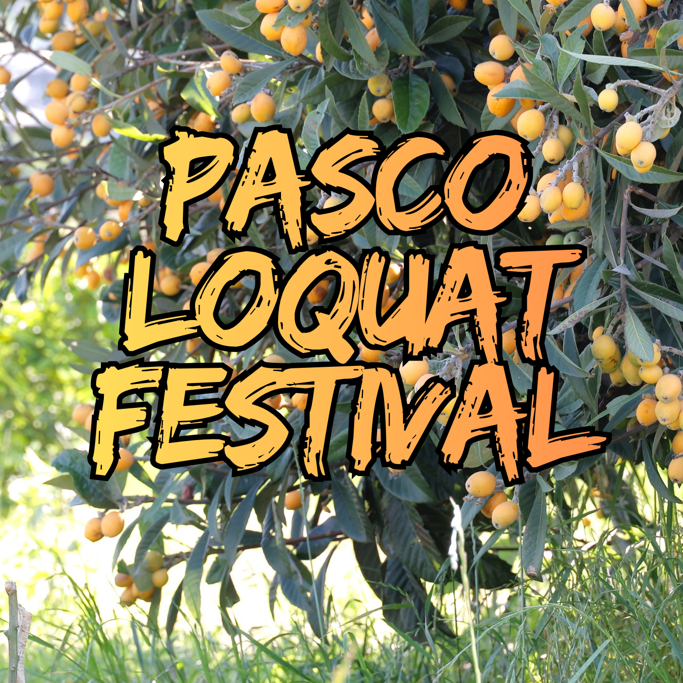 New Port Richey  Loquat Festival - Dell Dechant and Amanda Zborek