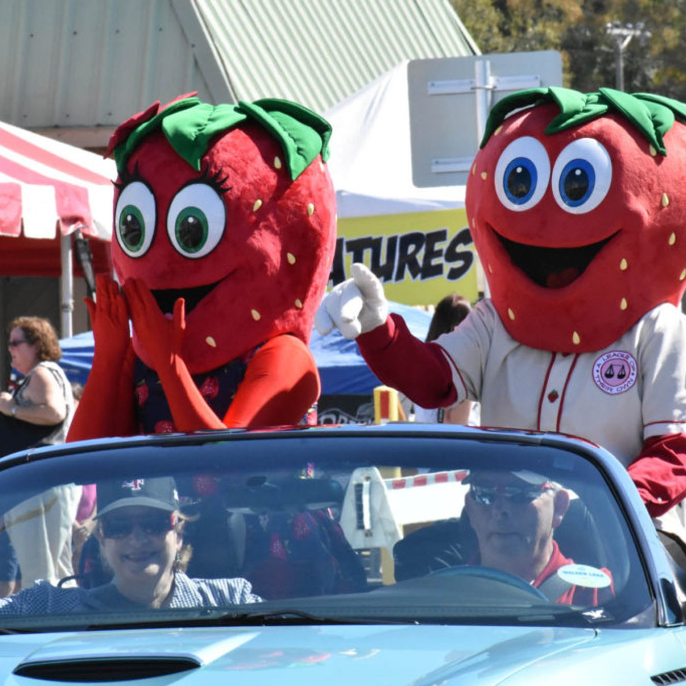 Rhett Rollyson - Florida Strawberry Festival episode artwork