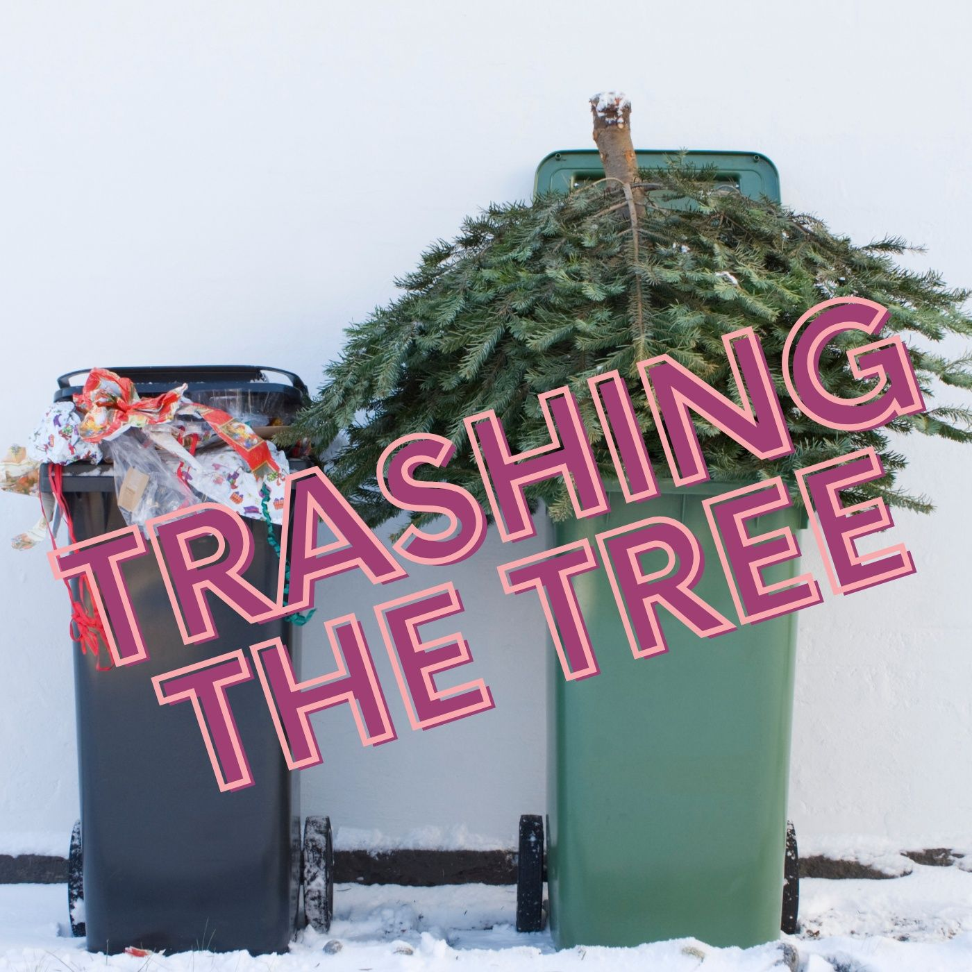 Post-Holiday Waste - Danny Gallagher -Hillsborough Co