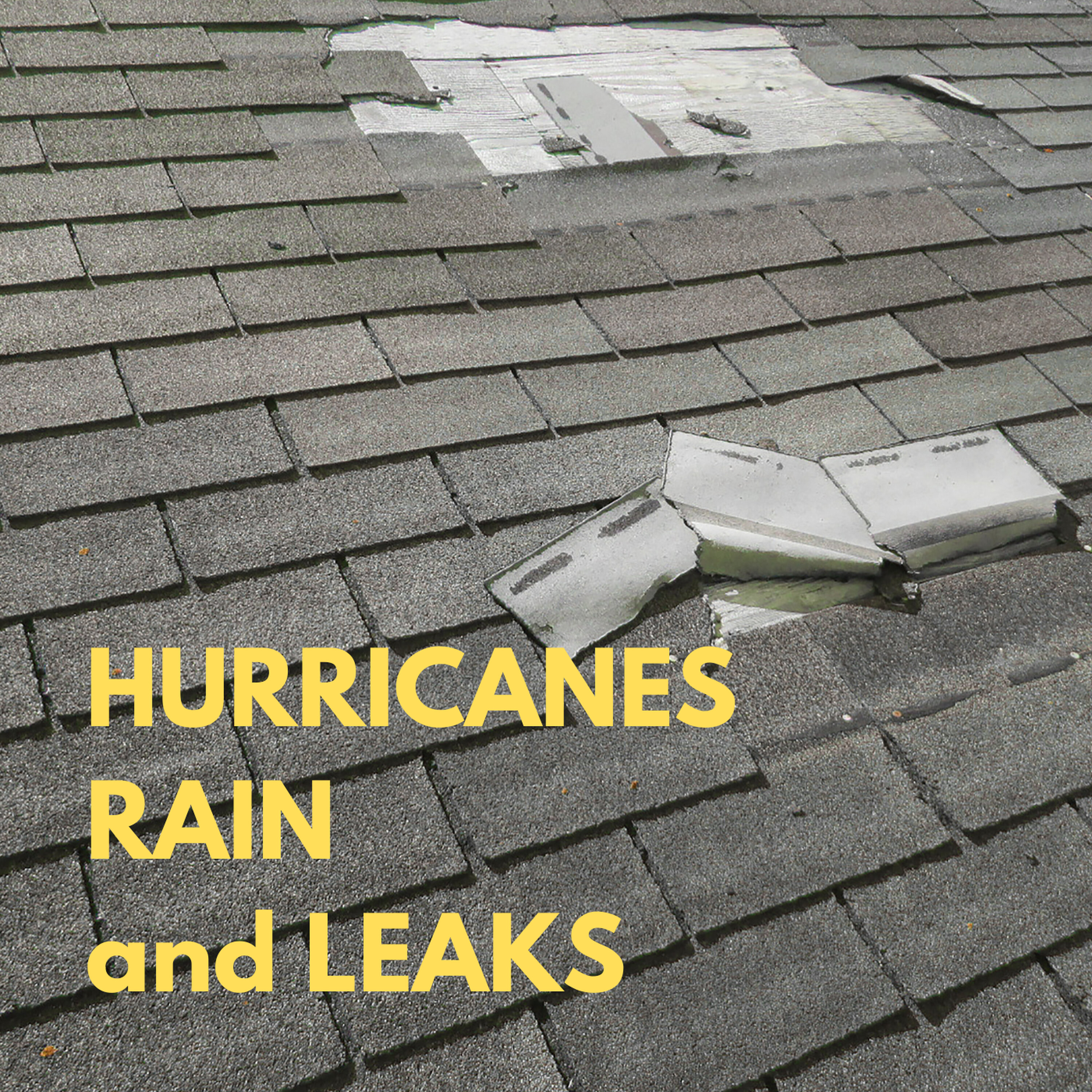 James Fleming UWRG Pinellas - Heavy Rain and Home Leaks episode artwork