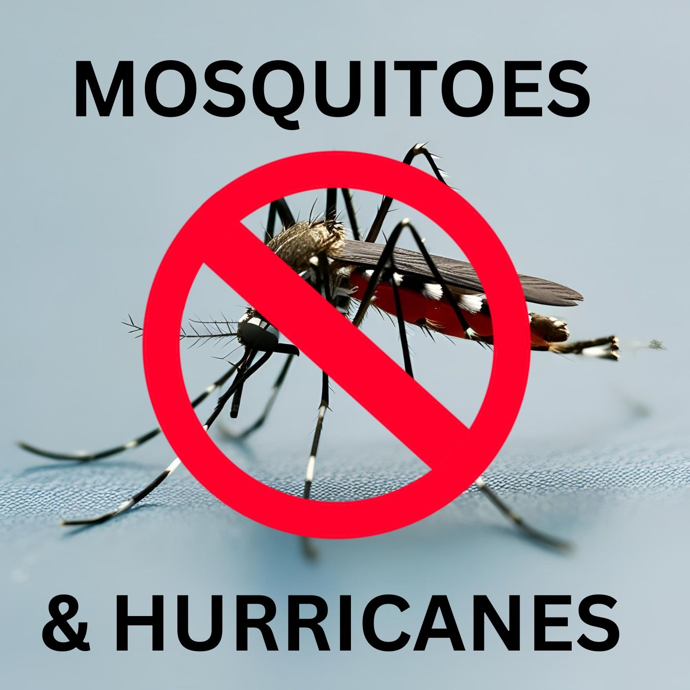 Last Year's Storms and This Year's Mosquitoes - Adriane Rogers Pasco Mosquito Control episode artwork