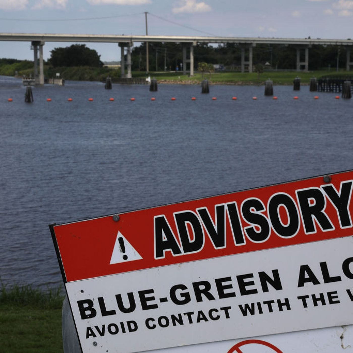 David Whiting DEP Blue-Green Algae episode artwork