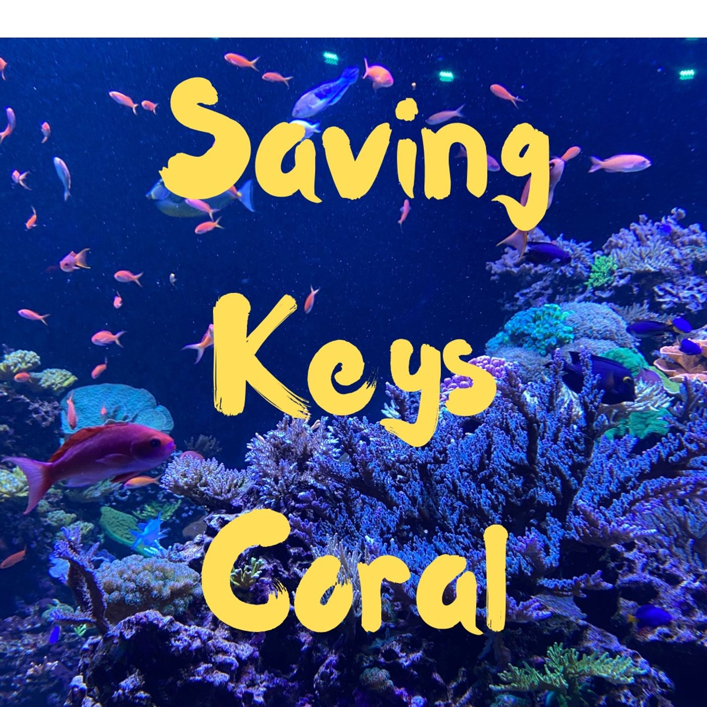 Coral Crossbreeding -- Keri O' Neil FL Aquarium episode artwork