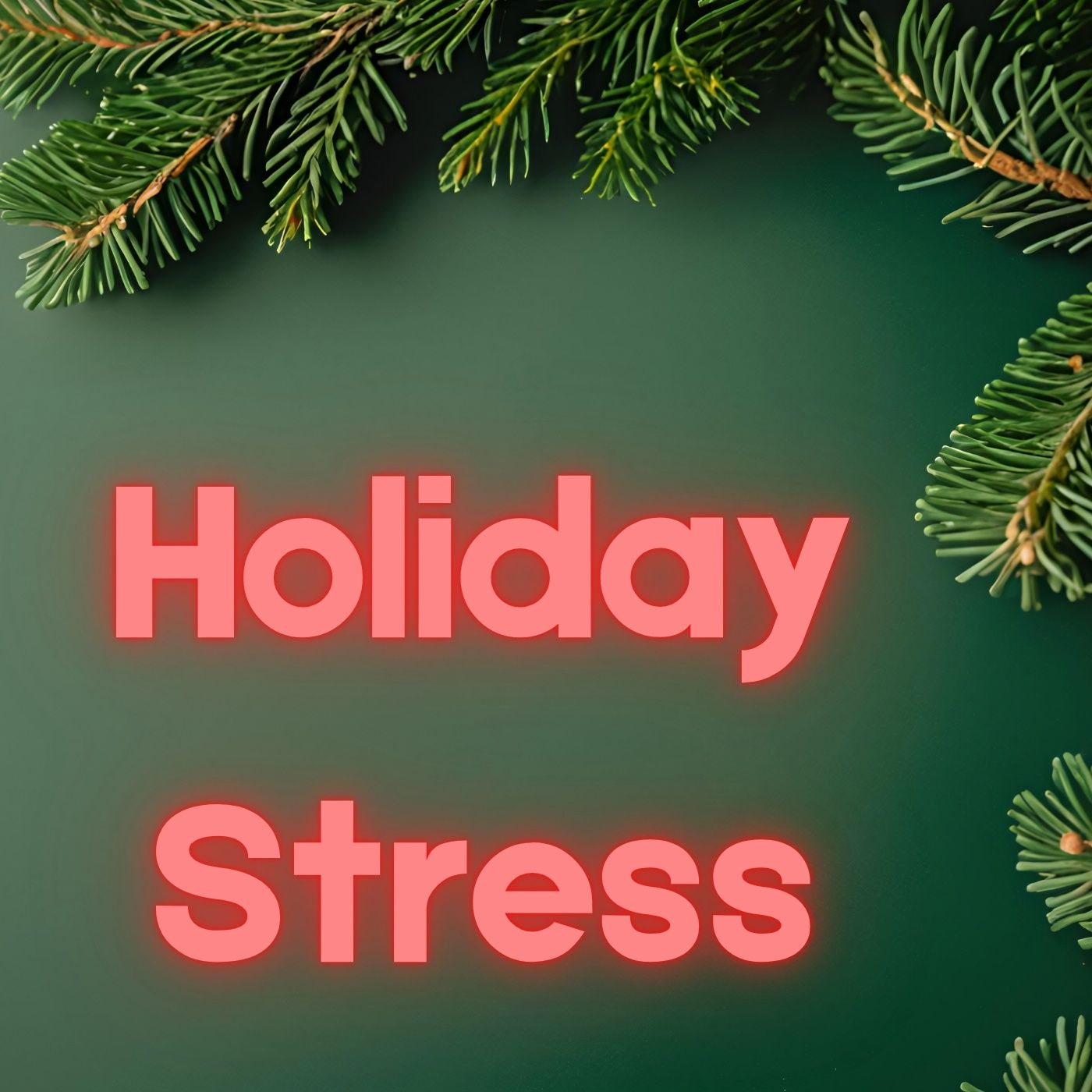 Holiday Stress and Anxiety - Dr Ryan Wagoner USF episode artwork