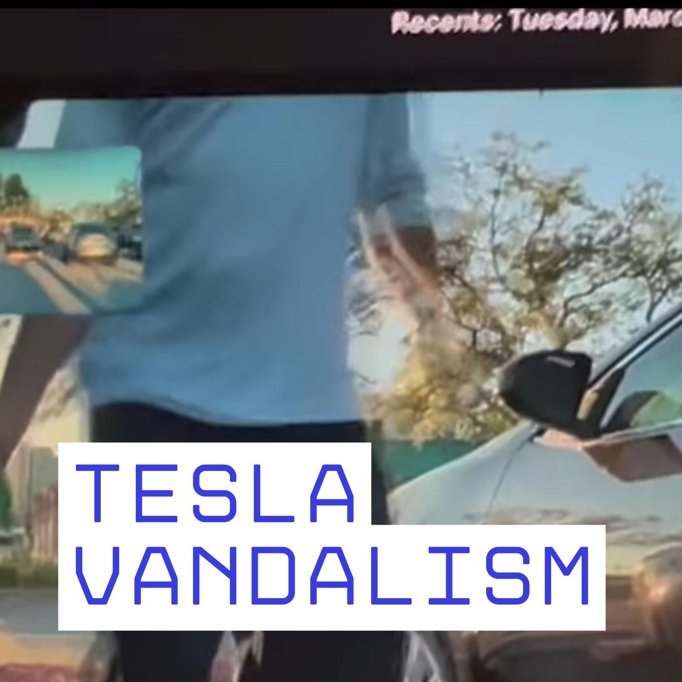 Meredith Censullo - Bradenton Police Looking for Tesla Vandal Suspect episode artwork