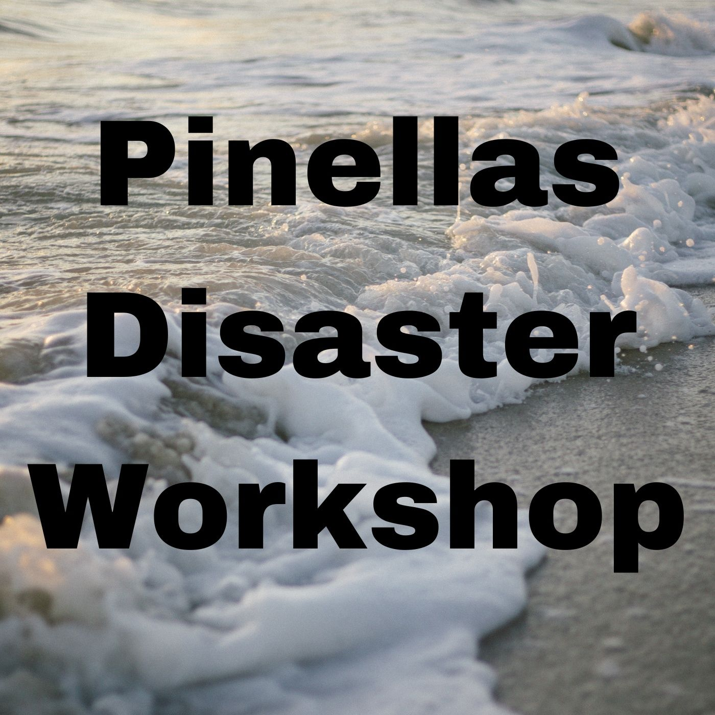 Pinellas Disaster Mitigation Workshop - Smita Ambadi episode artwork