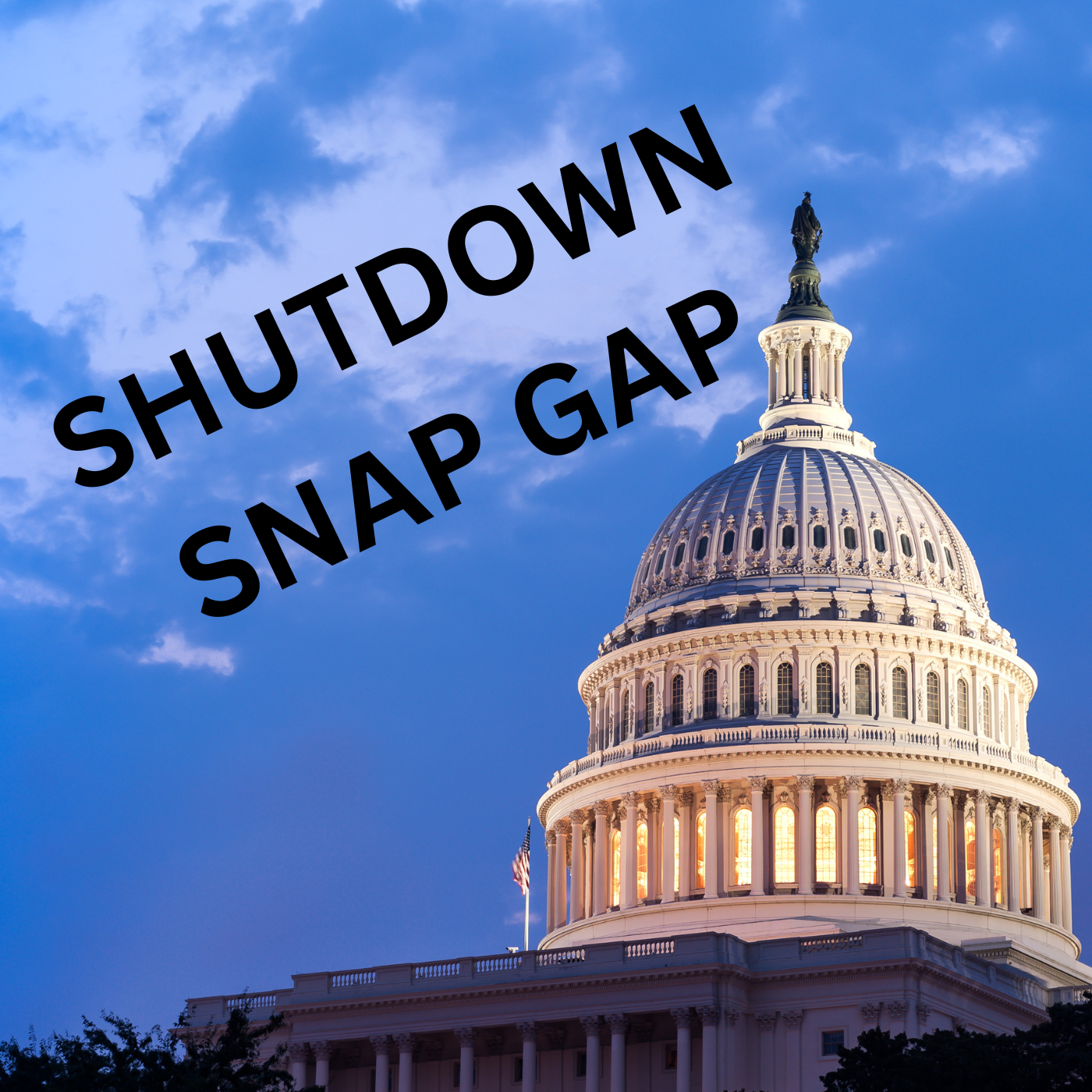 SNAP Benefits and Federal Shutdown - State Sen Nick DeCeglie episode artwork