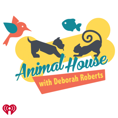 JCS: Audubon Center for Birds of Prey 5/7/2025 episode artwork