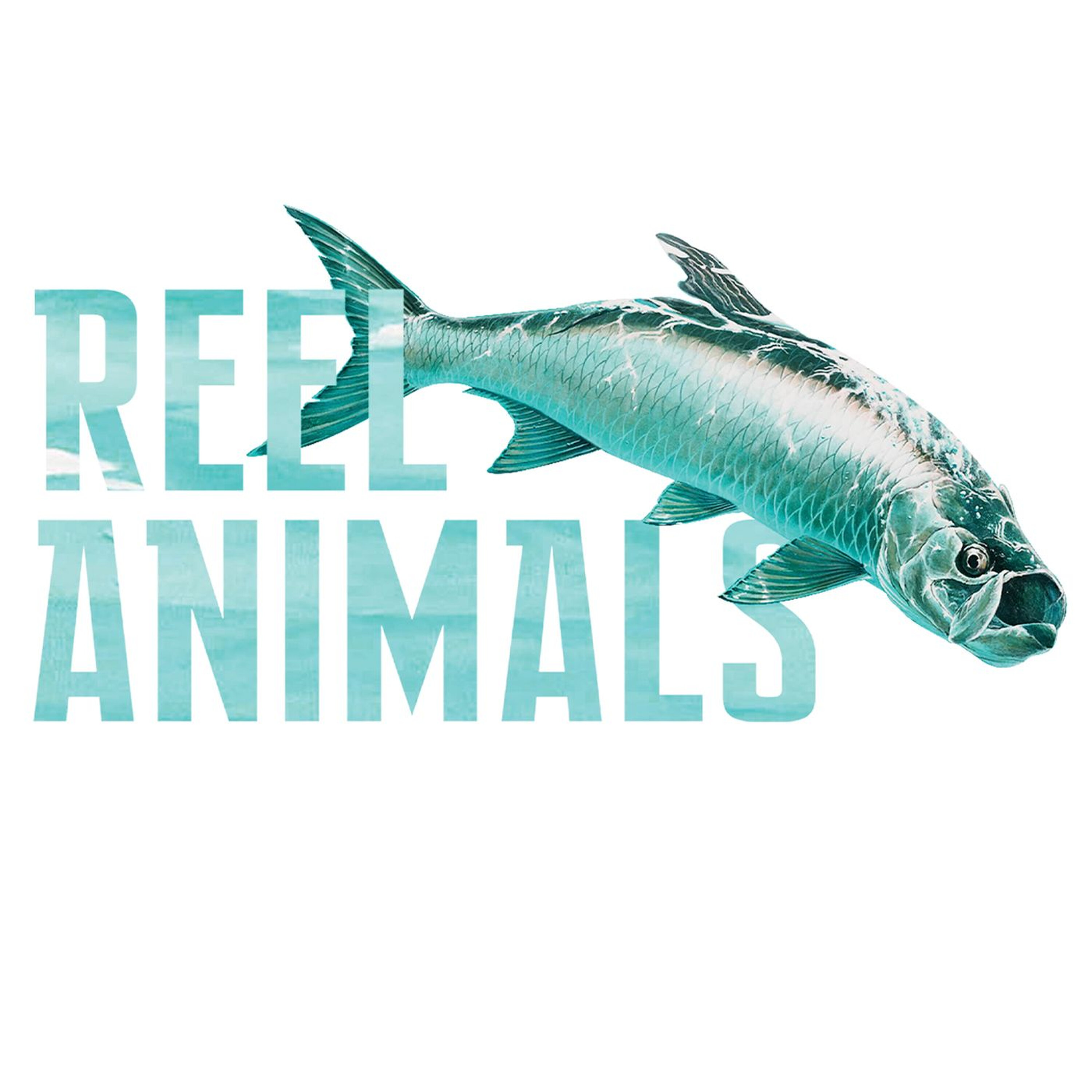 Reel Animals Fishing Show Sunday 08-24-25