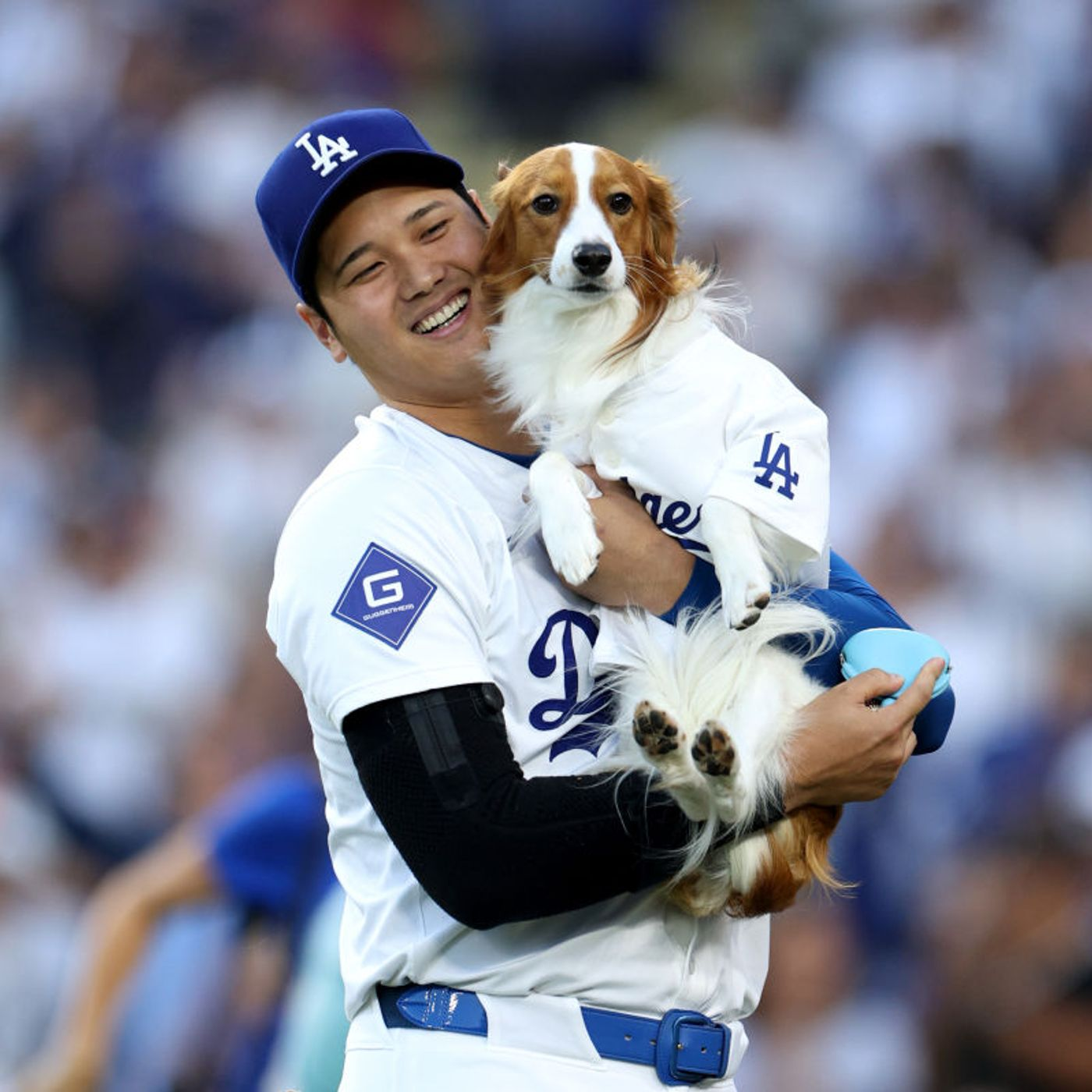 Feel Good Friday: A Dodger Blue Day! Sending A Fan To See Shohei Shine