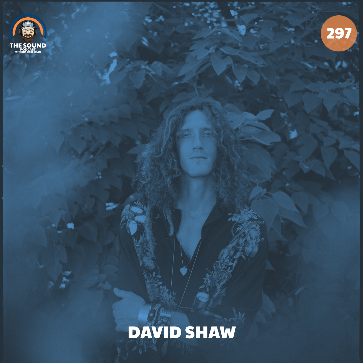 David Shaw