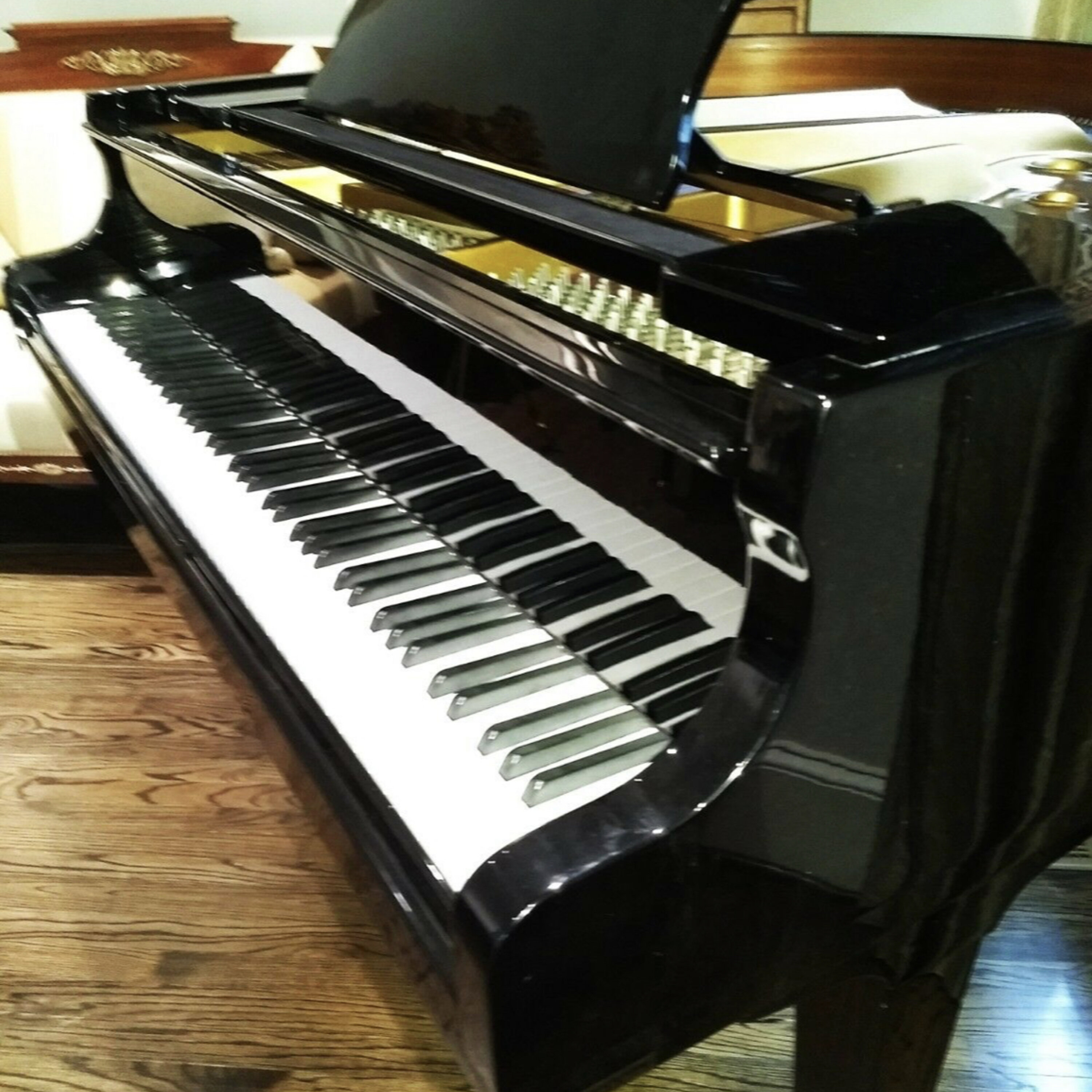 The Piano Sonata  29-December-2024