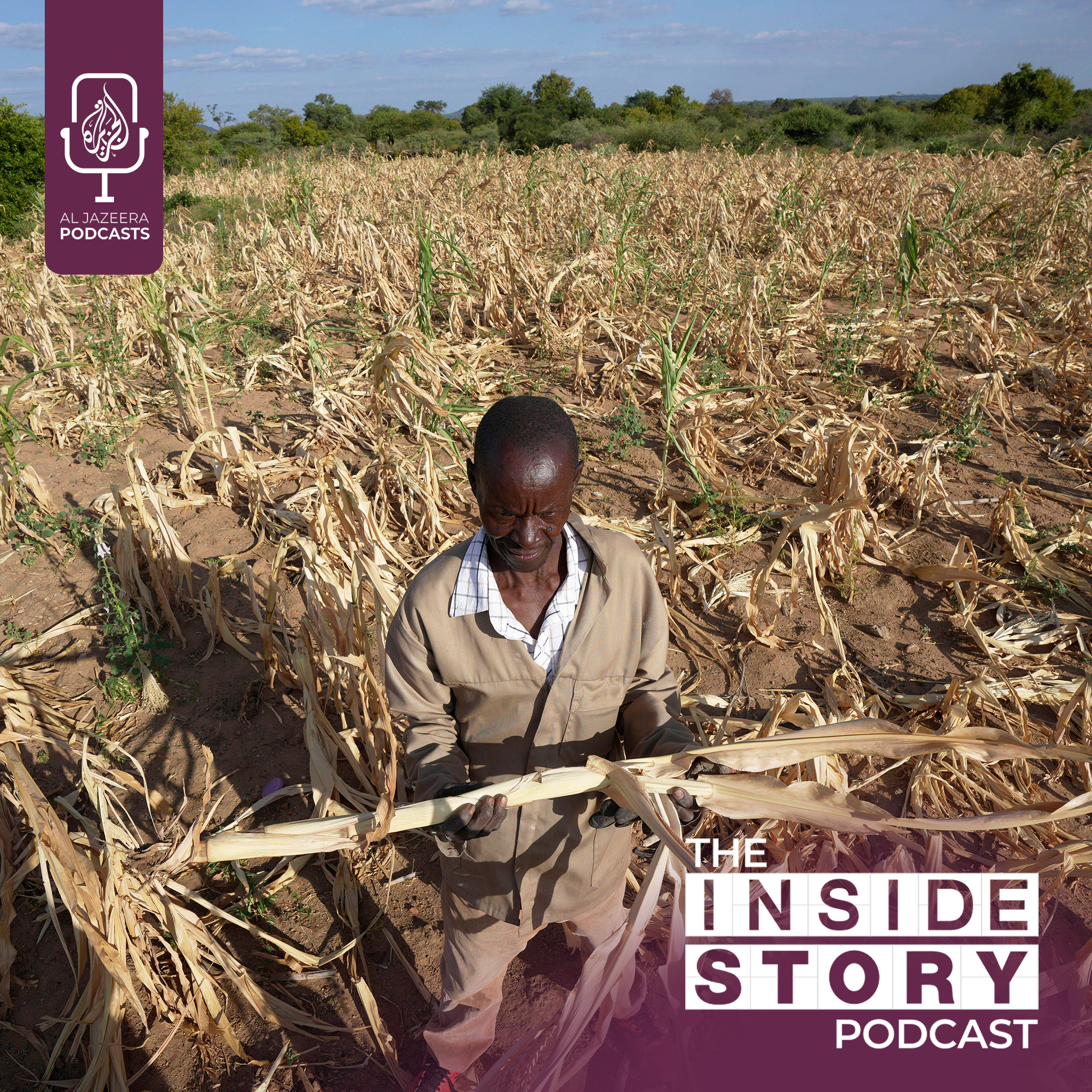 Revisiting: How is climate change impacting food?