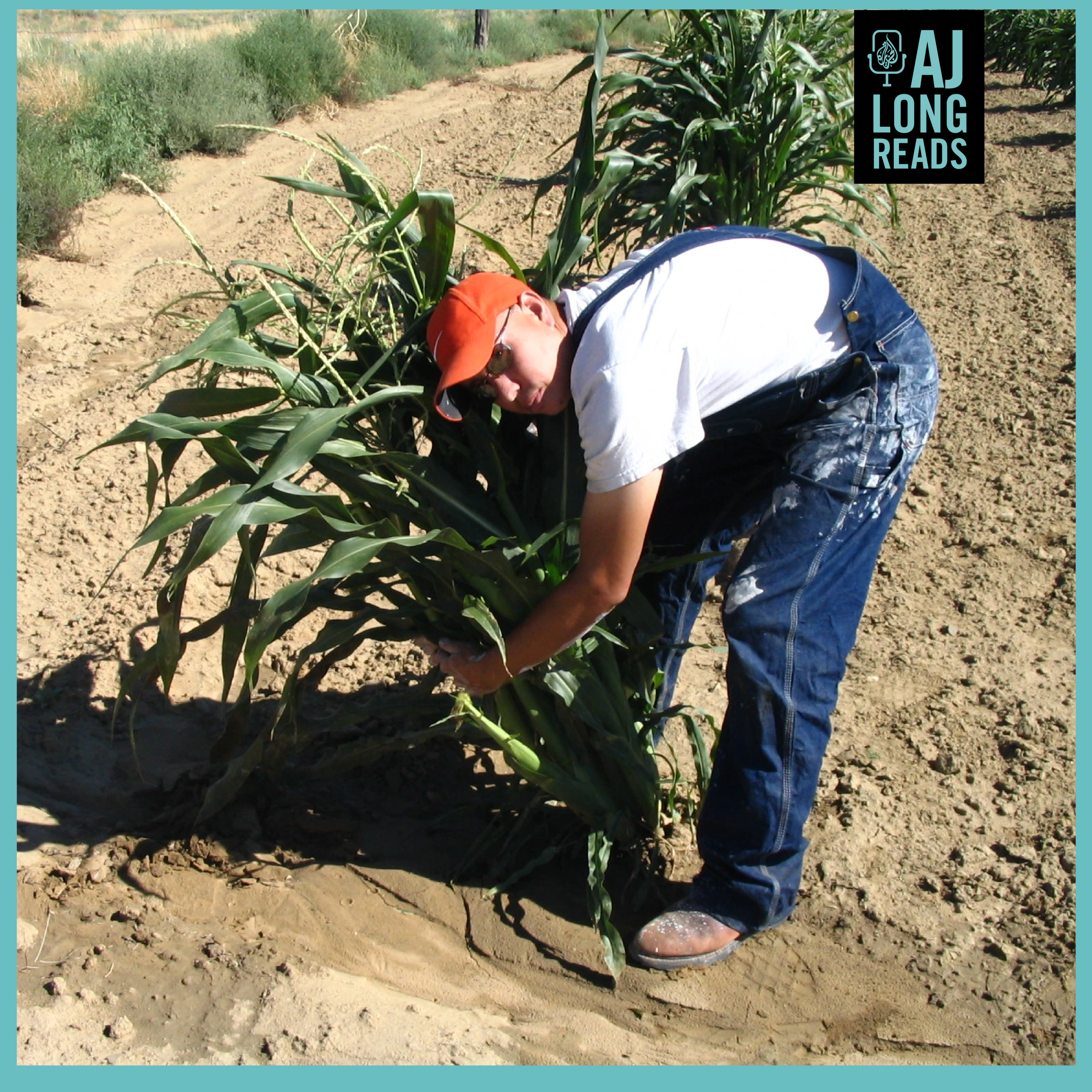 The Hopi farmer championing Indigenous agricultural knowledge