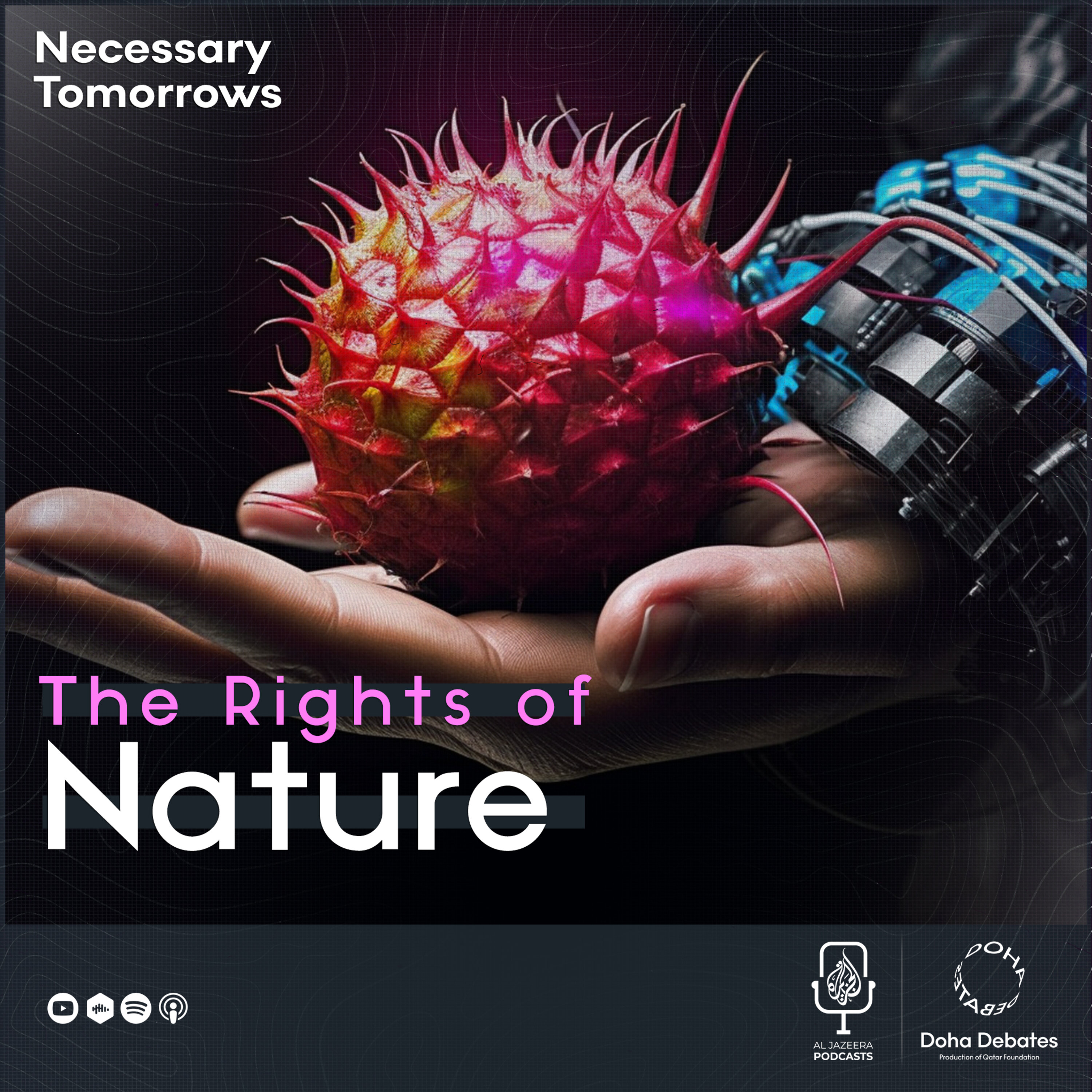 Episode 2: The Rights of Nature episode artwork