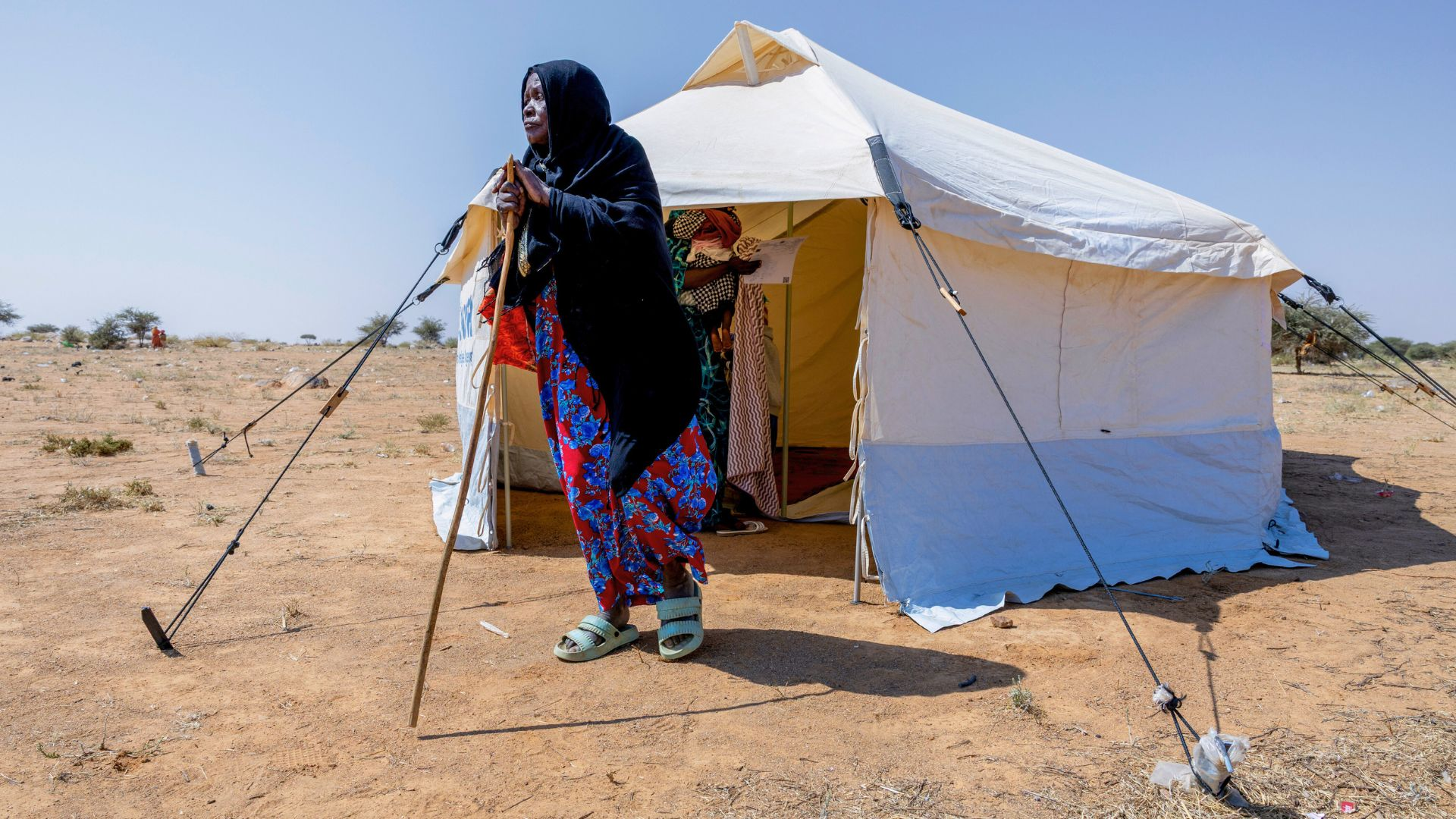 Sudanese refugees build new lives in Chad as war displaces millions