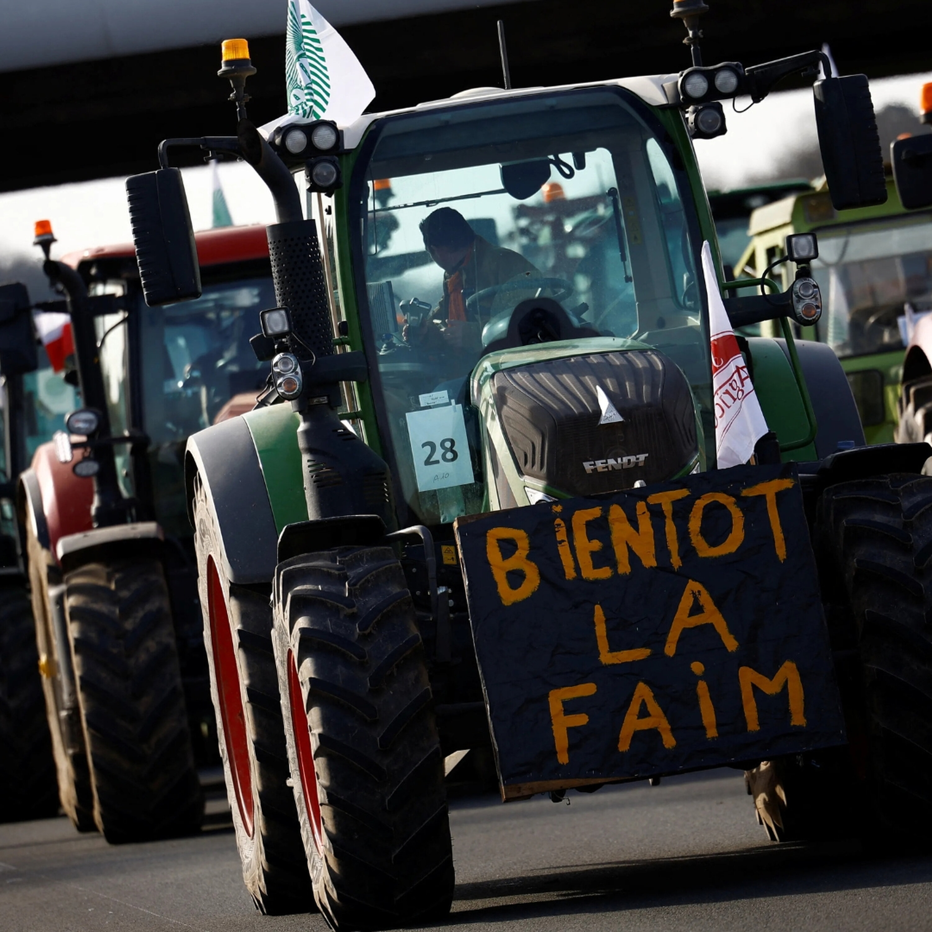 EU-Mercosur trade deal: More than two decades of negotiations come to an end EU-Mercosur trade deal: More than two decades of negotiations come to an end