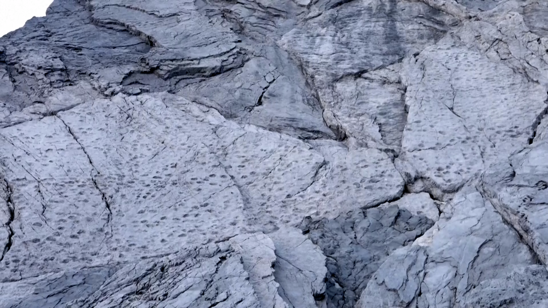 Thousands of dinosaur footprints discovered in Italy