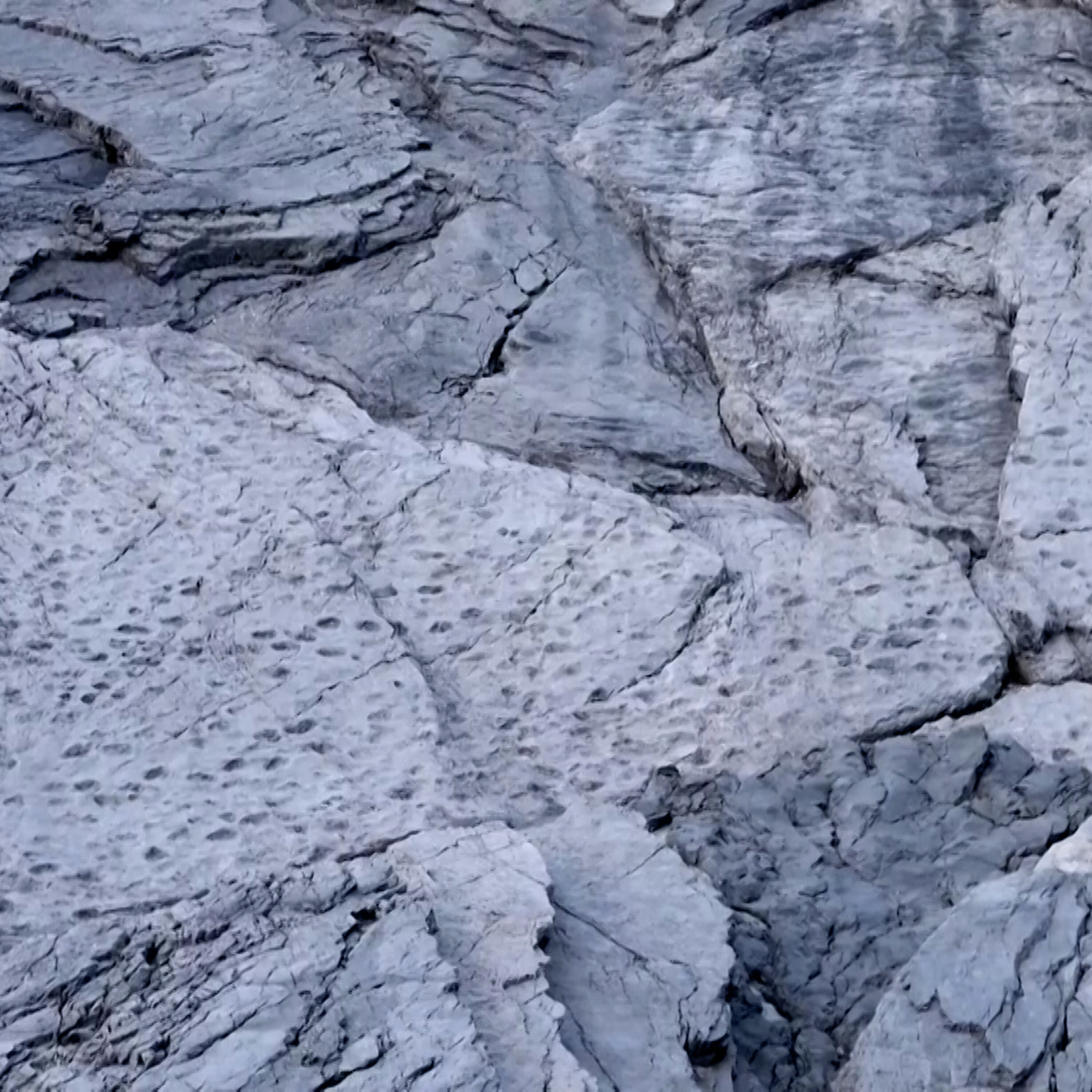 Thousands of dinosaur footprints discovered in Italy Thousands of dinosaur footprints discovered in Italy