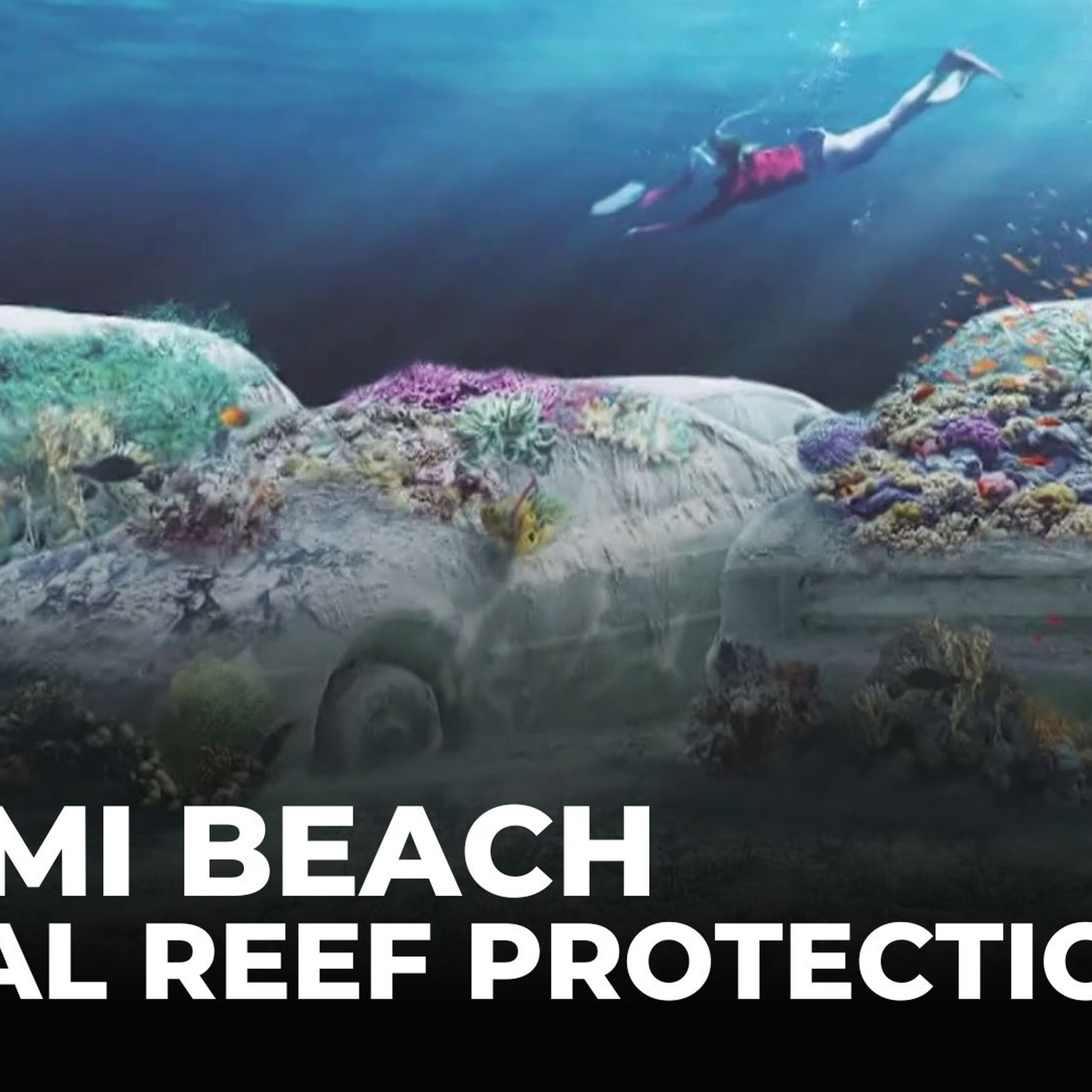 Cement cars form new coral reef park: Miami reef revival driven by art and science Cement cars form new coral reef park: Miami reef revival driven by art and science