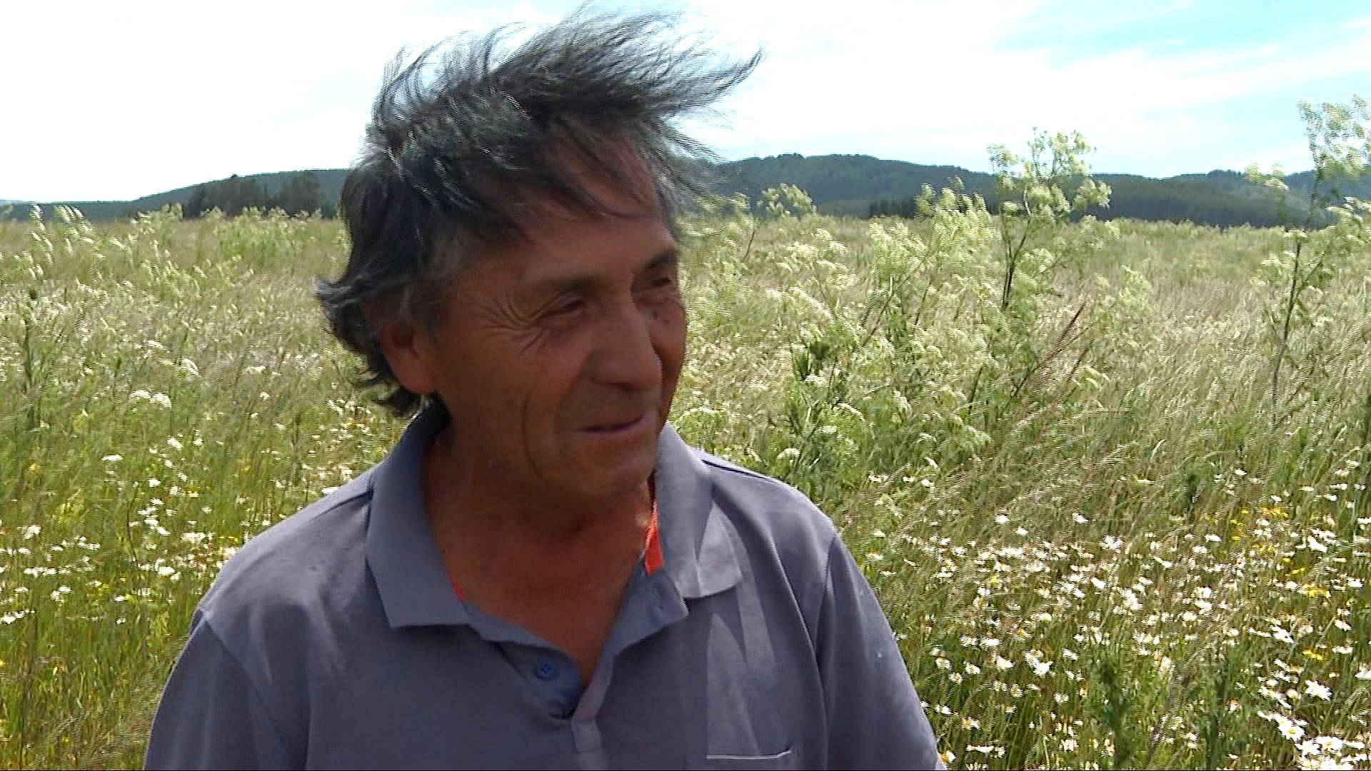 Chile election: Indigenous communities fear heavy military rule if hardliner Kast wins