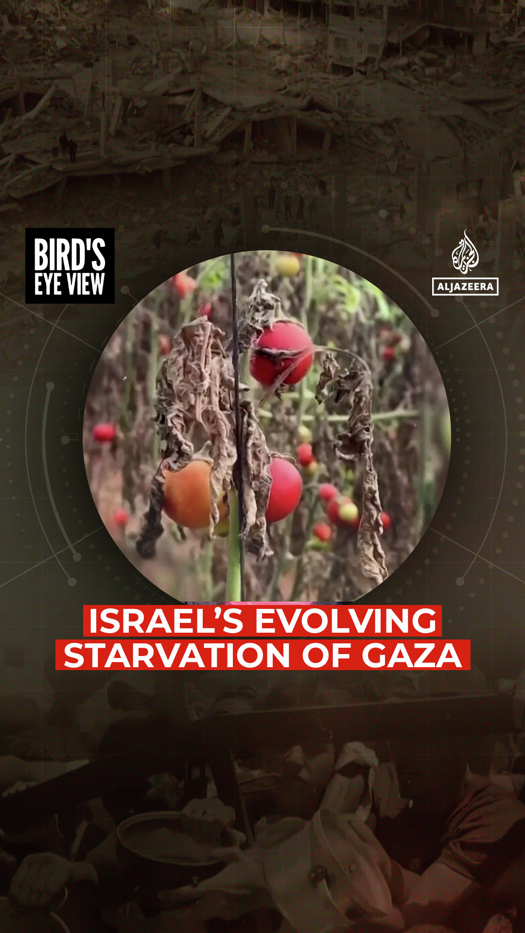 Israel’s Evolving Starvation of Gaza