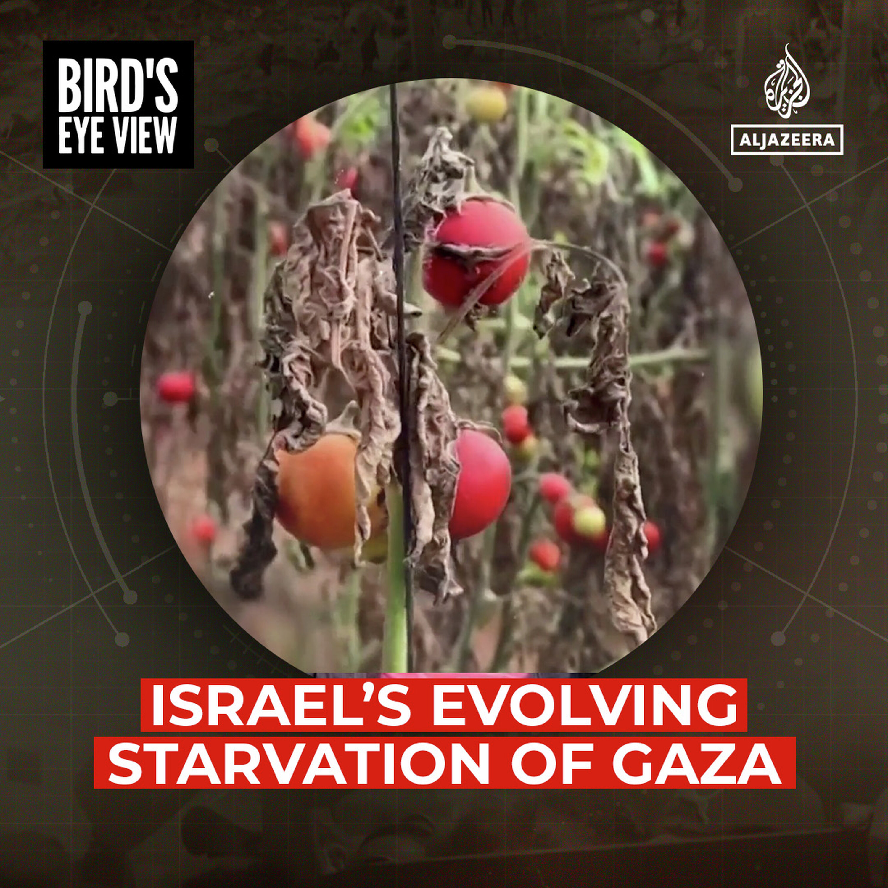Israel’s Evolving Starvation of Gaza Israel’s Evolving Starvation of Gaza