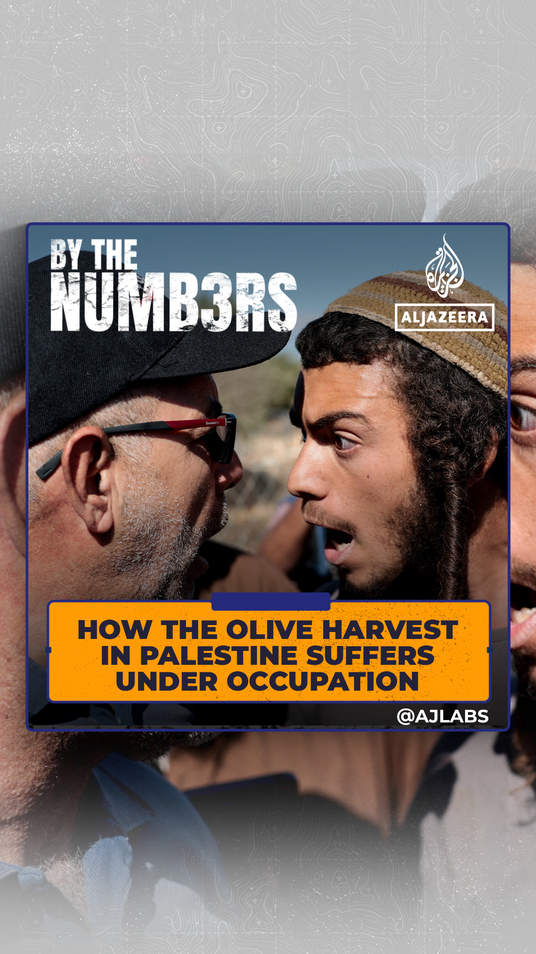 How the olive harvest in Palestine suffers under occupation