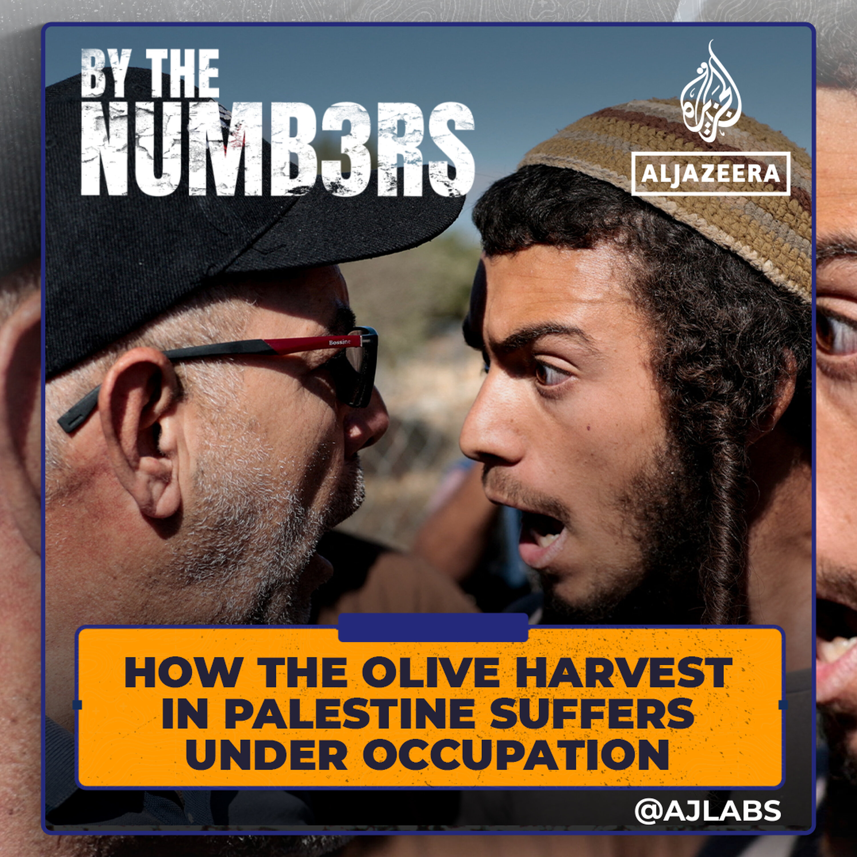 How the olive harvest in Palestine suffers under occupation How the olive harvest in Palestine suffers under occupation
