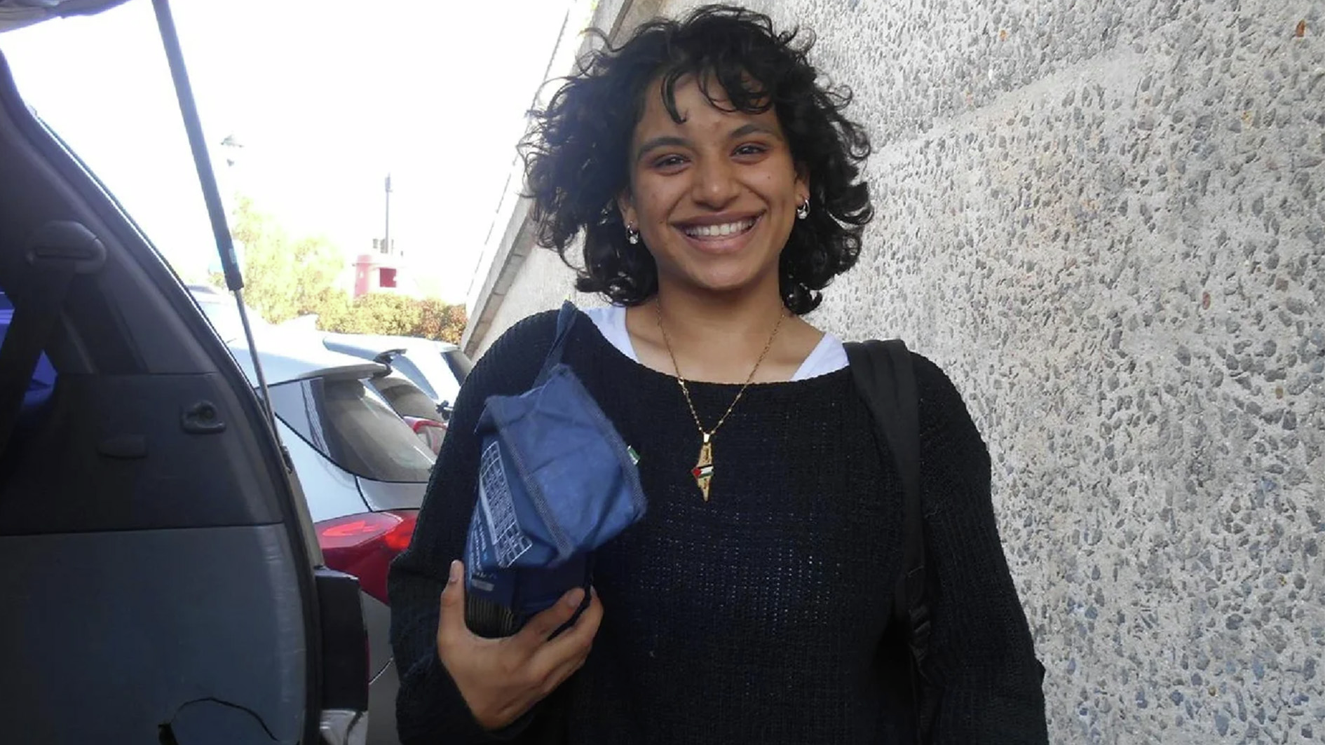 Palestine Action hunger strikers risk dying in UK Prisons, say lawyers