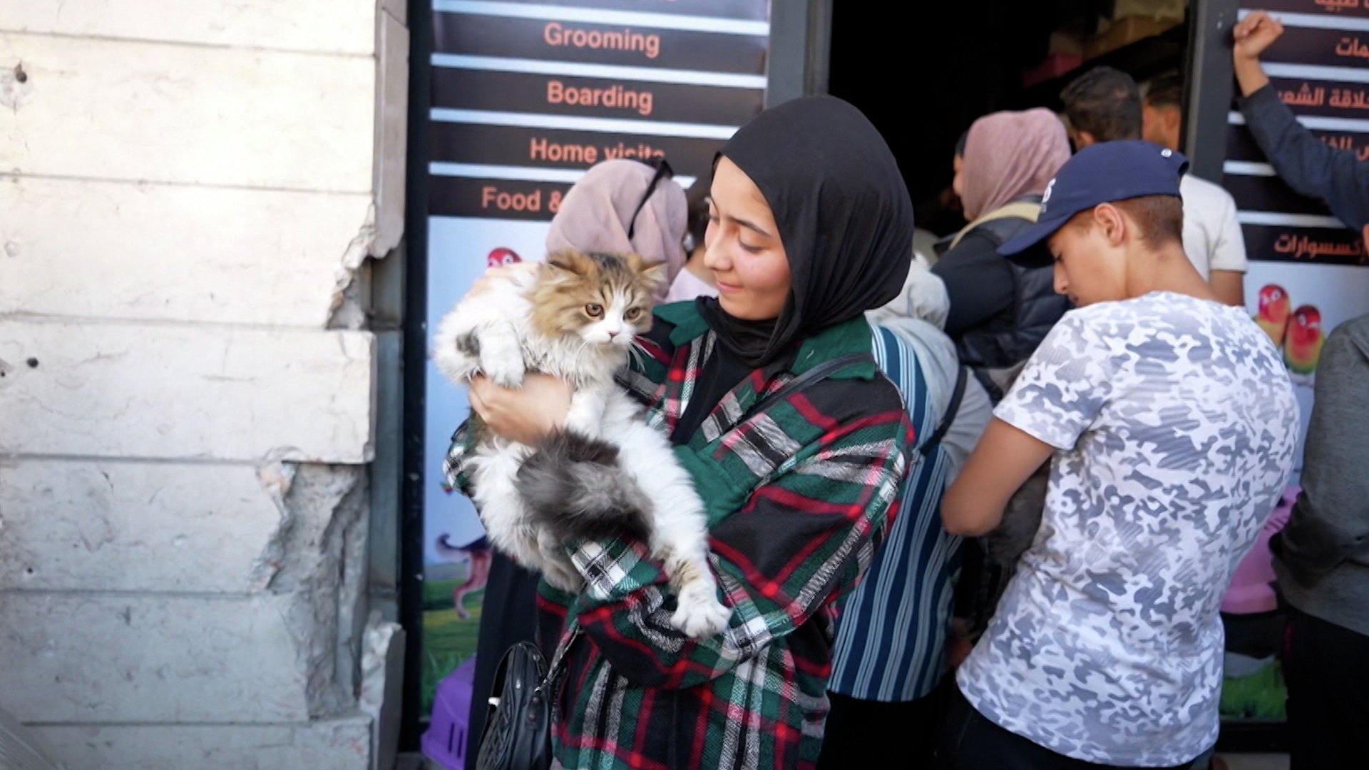 Volunteers in Gaza care for animals amid war and destruction