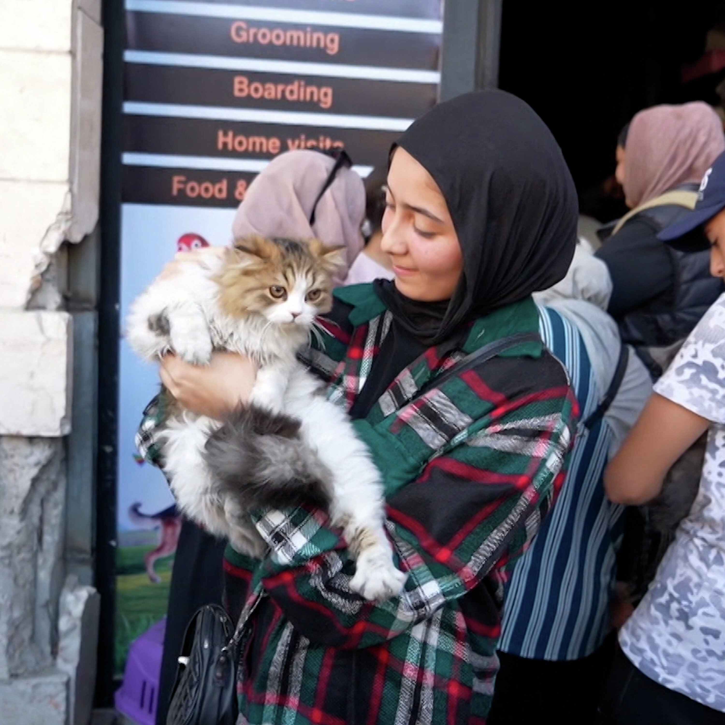 Volunteers in Gaza care for animals amid war and destruction Volunteers in Gaza care for animals amid war and destruction