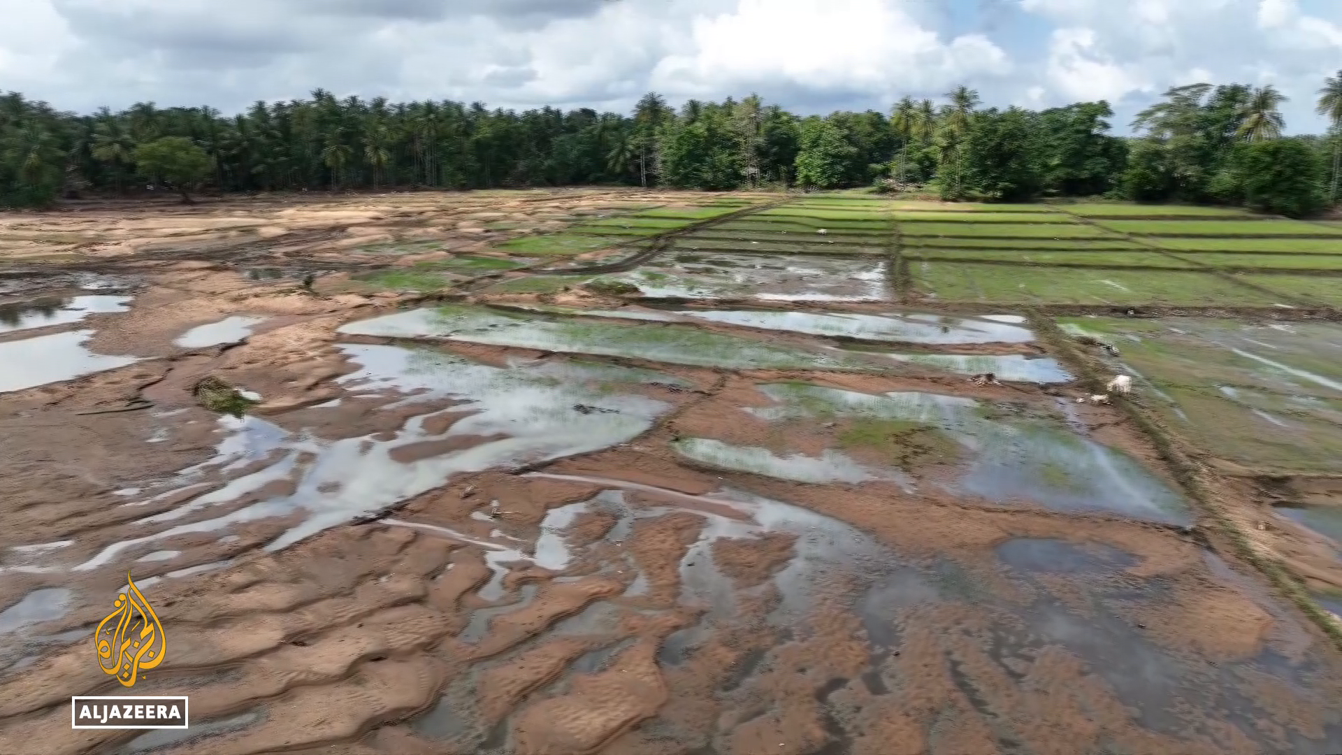 Sri Lanka flooding: 106,000 hectares of rice paddy fields damaged