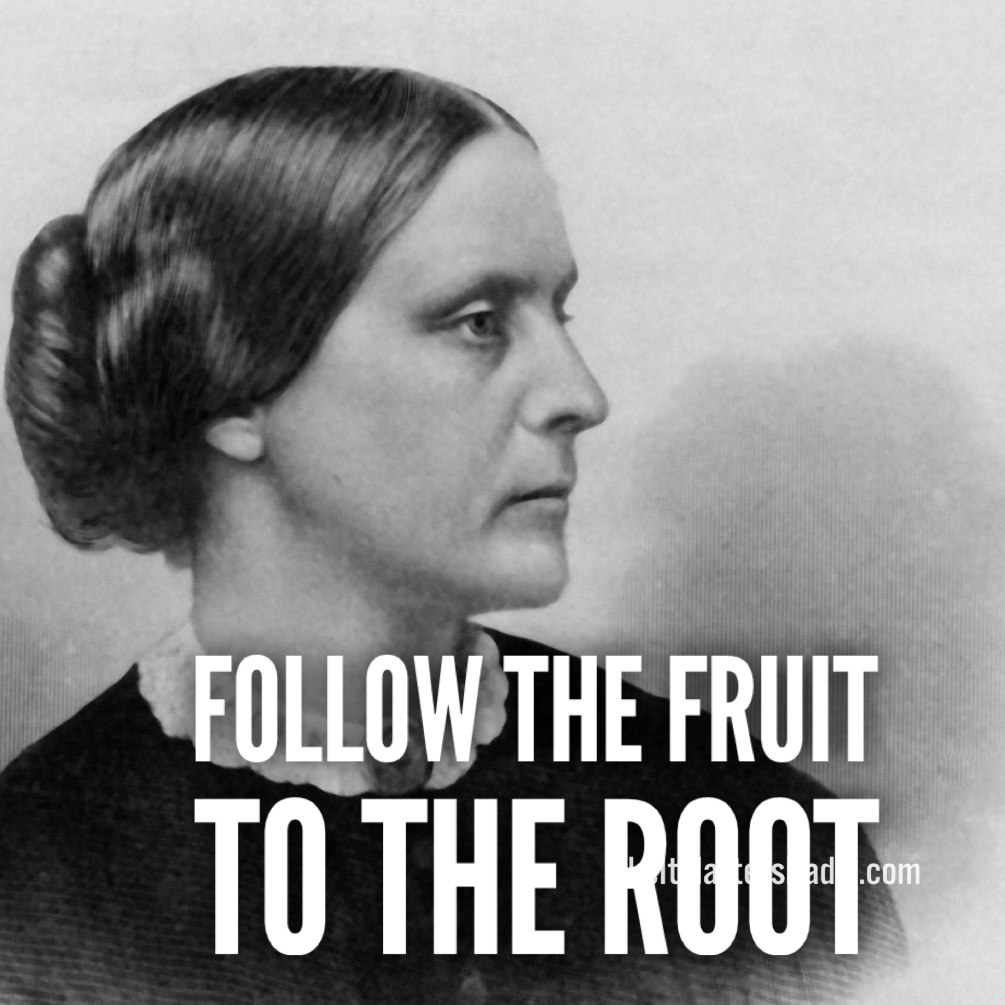 LIM Radio S10E26 Follow the Fruit to the Root