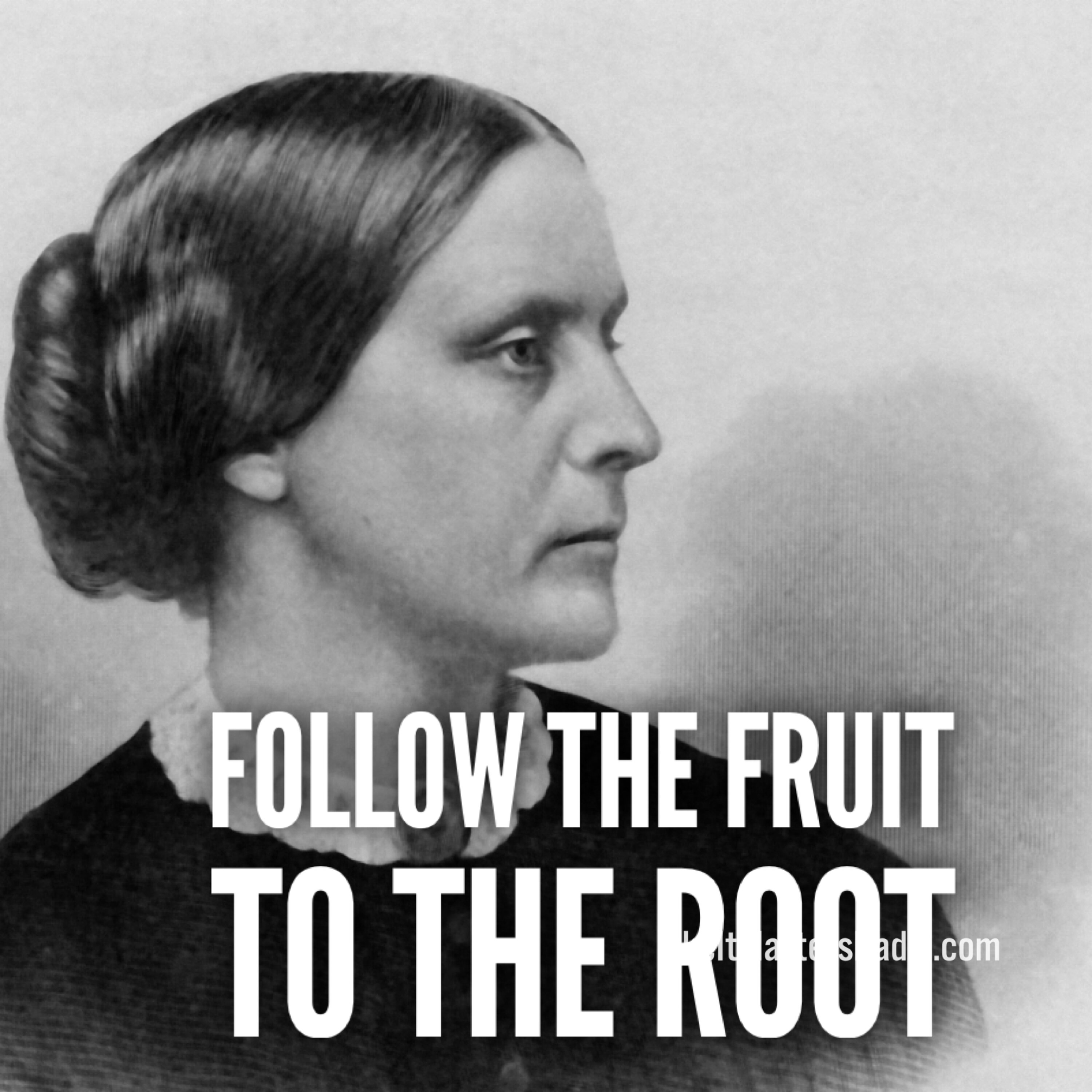 LIM Radio S10E26 Follow the Fruit to the Root