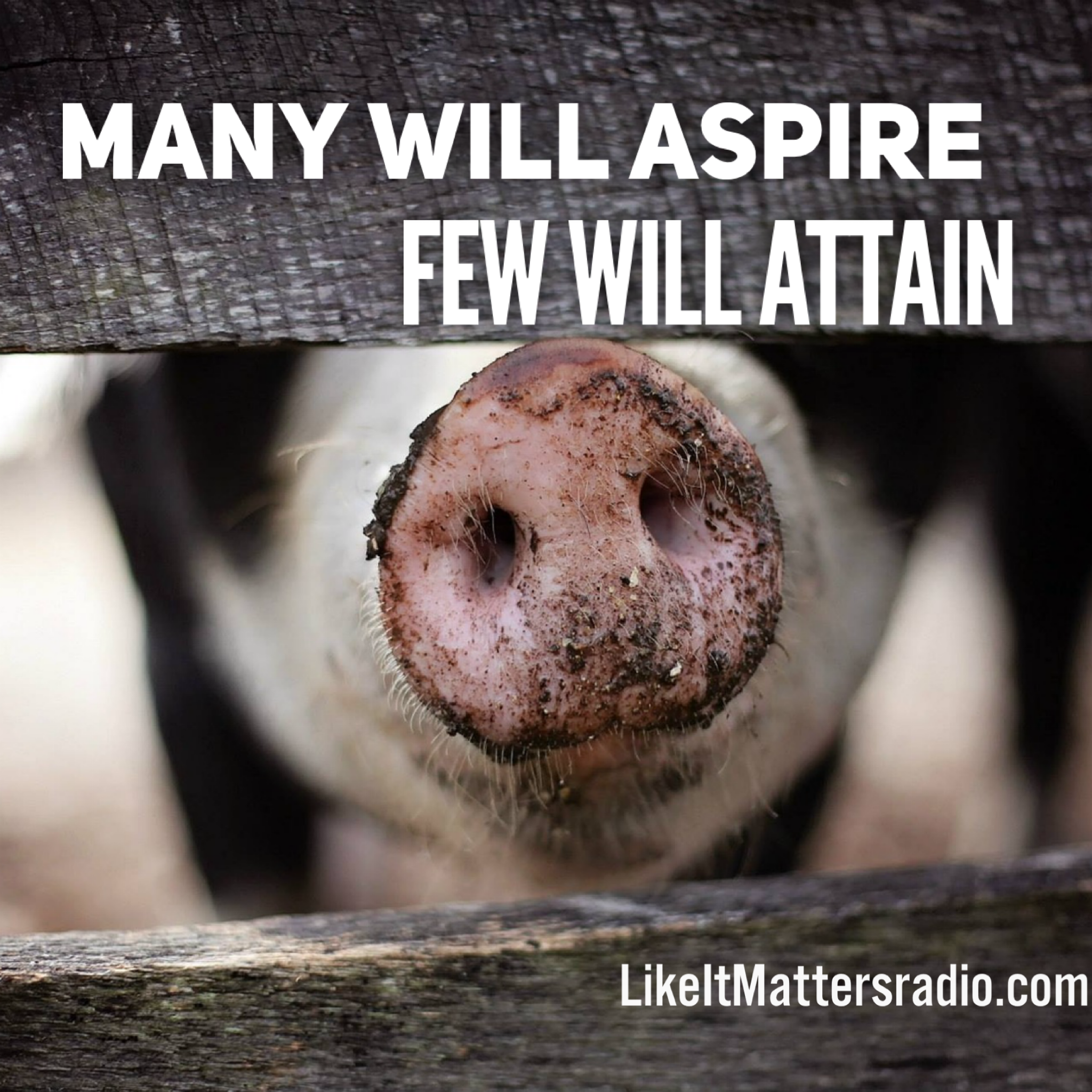 LIM Radio S10E37 Many Will Aspire Few Will Attain