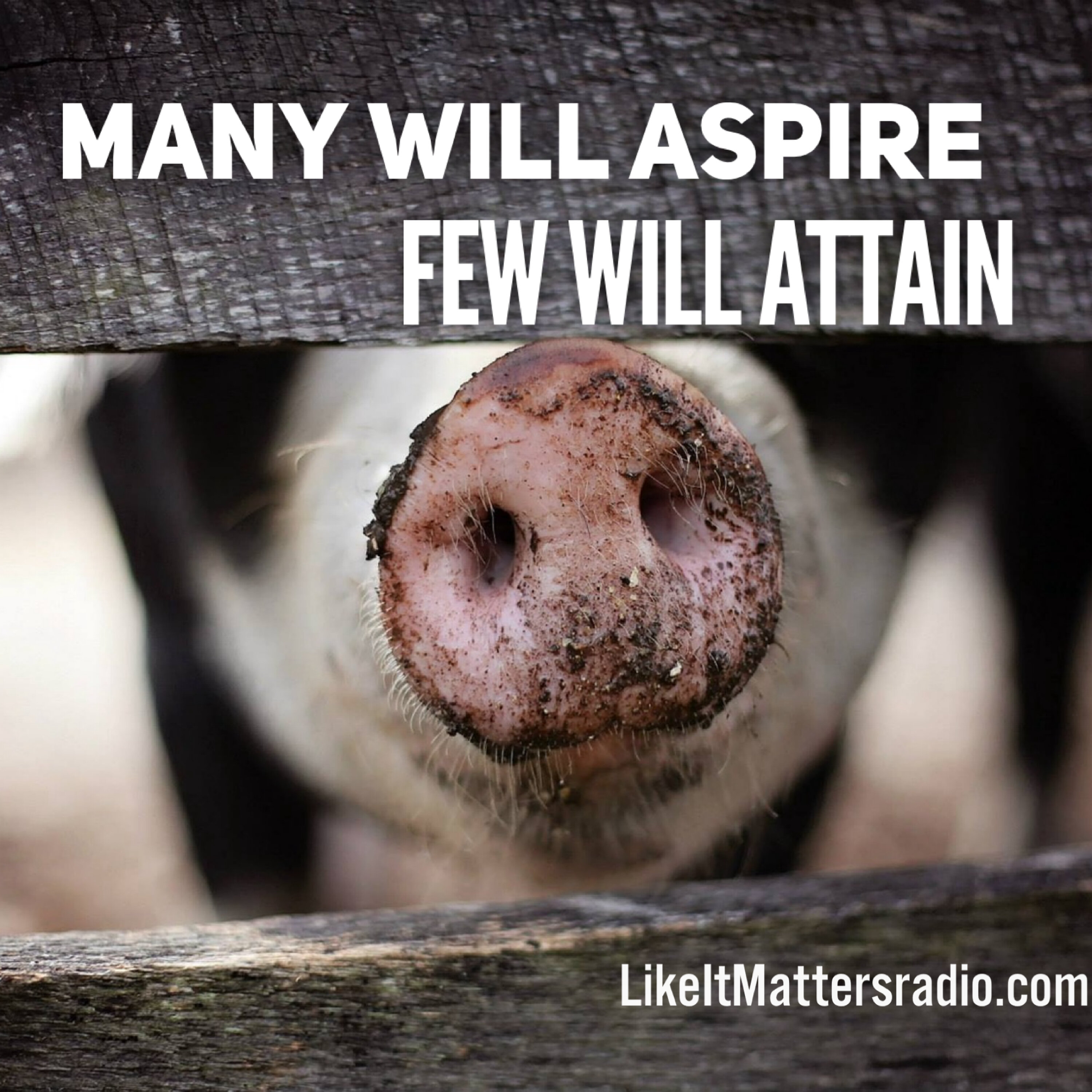 LIM Radio S10E37 Many Will Aspire Few Will Attain