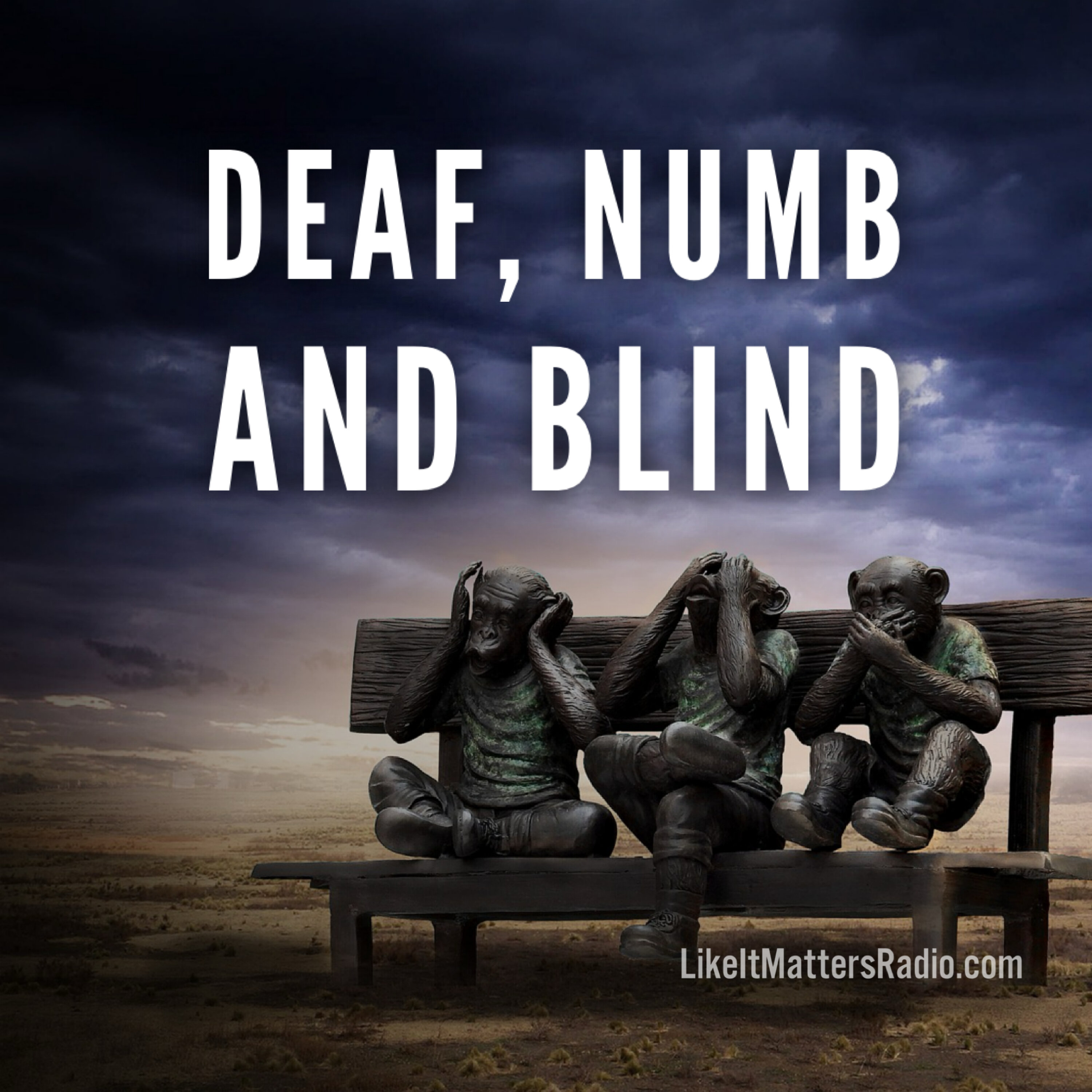 Like It Matters Radio S10E12 - Deaf Numb and Blind
