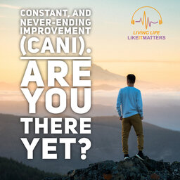 Constant and Never-Ending Improvement (CANI). Are you there yet?