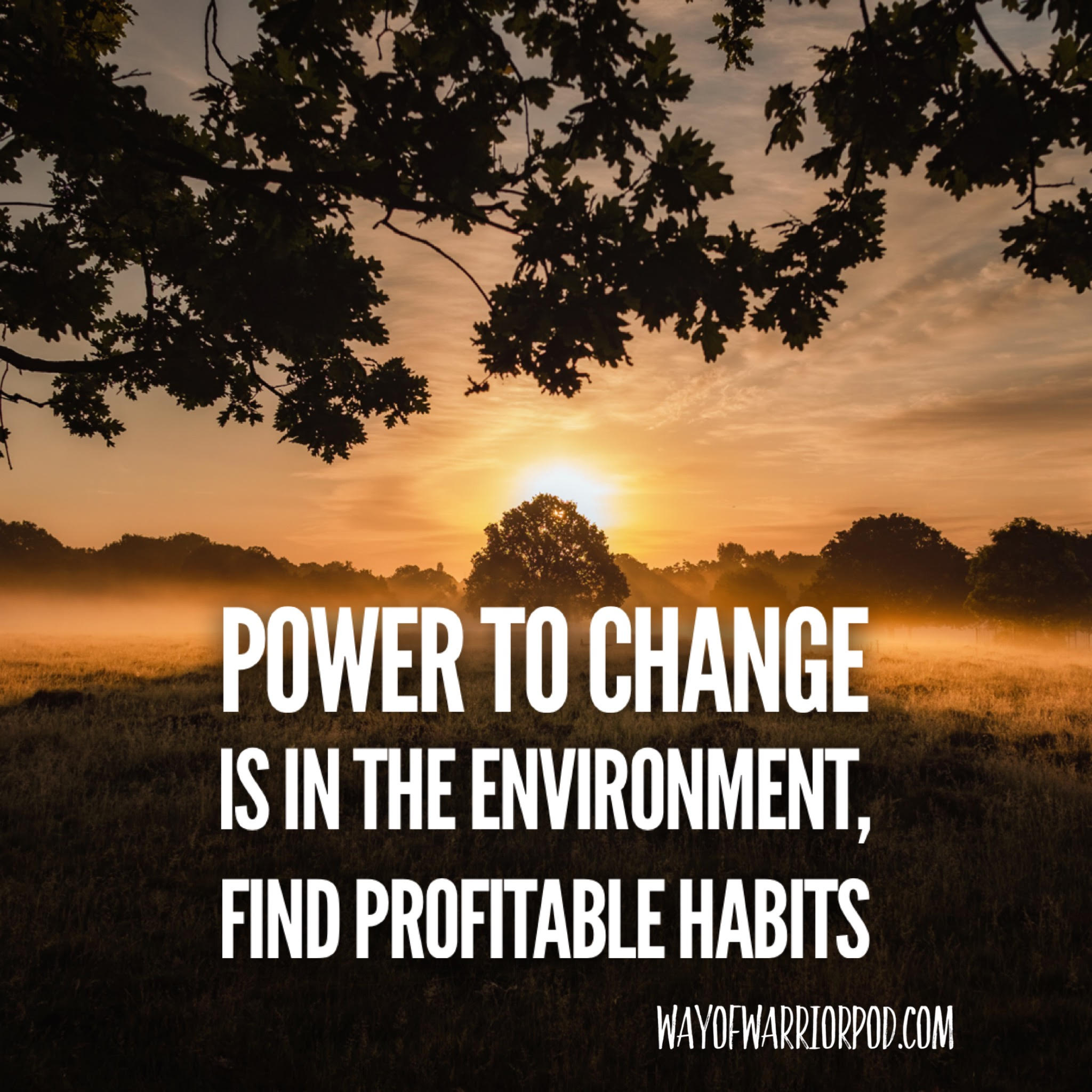 Power To Change Is In The Environment, Find Profitable Habits