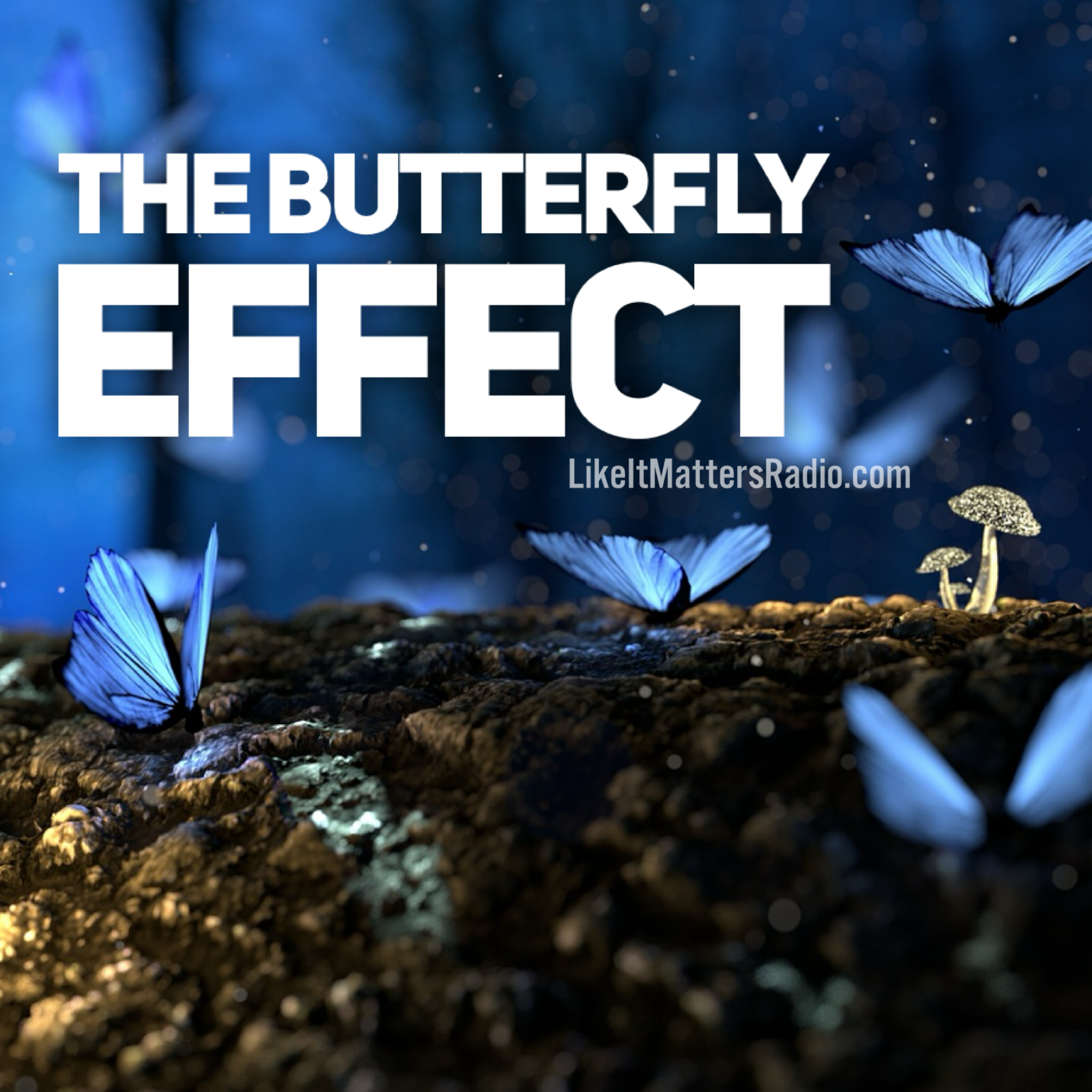 Like It Matters Radio S10E14 -  The Butterfly Effect - Sins of The Father
