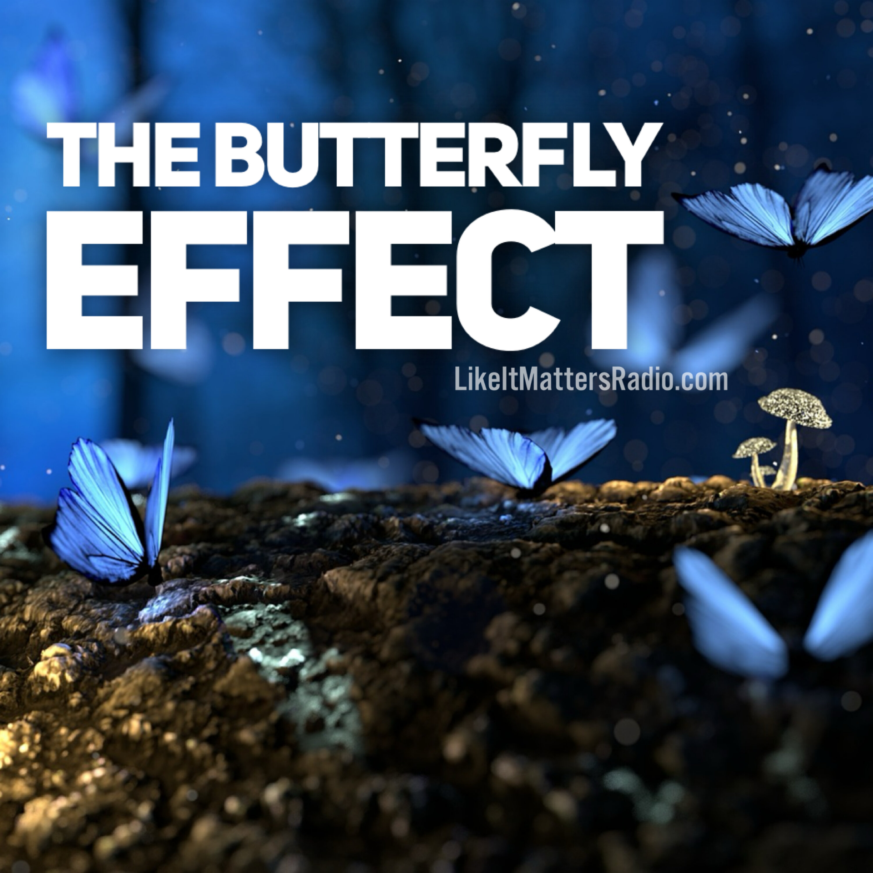 Like It Matters Radio S10E14 - The Butterfly Effect - Sins of The Father