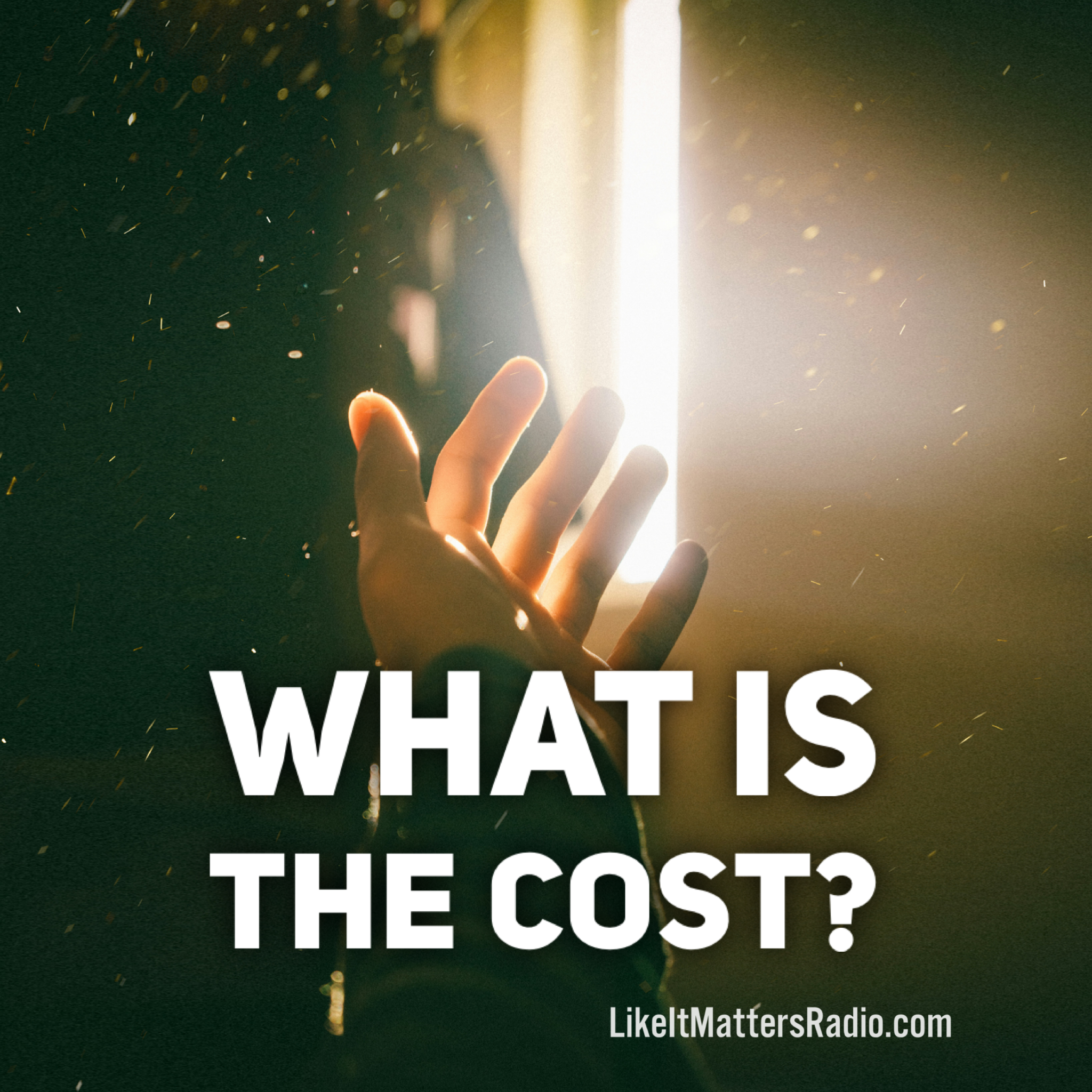 LIM Radio S10E21 What is the Cost?