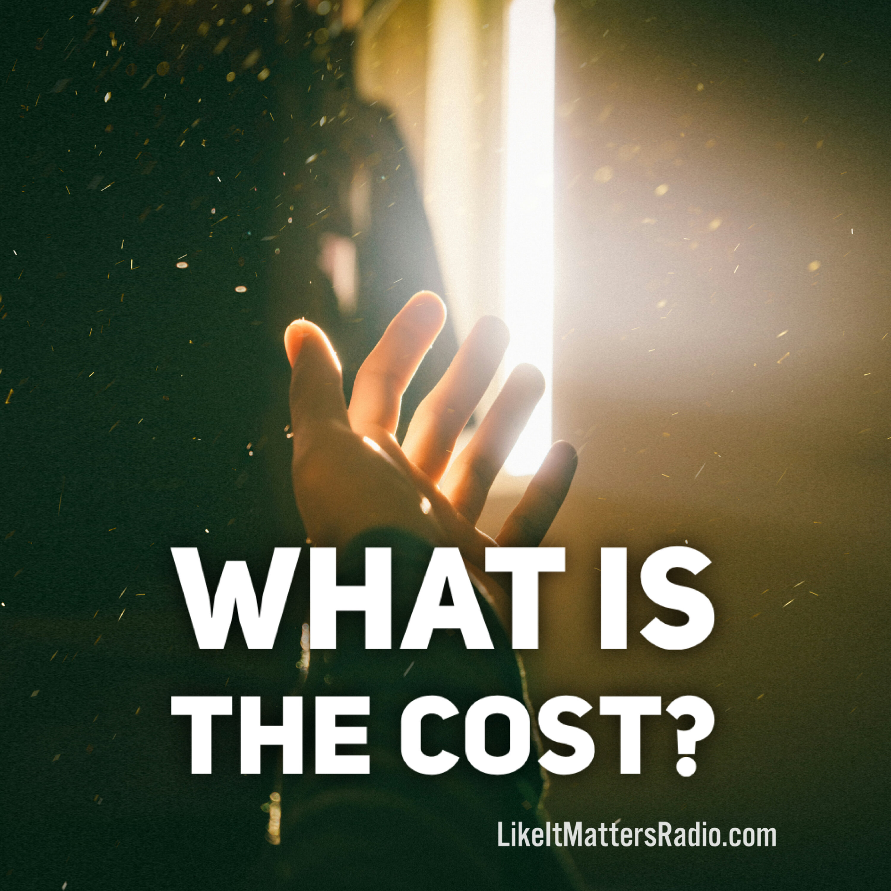 LIM Radio S10E21 What is the Cost?