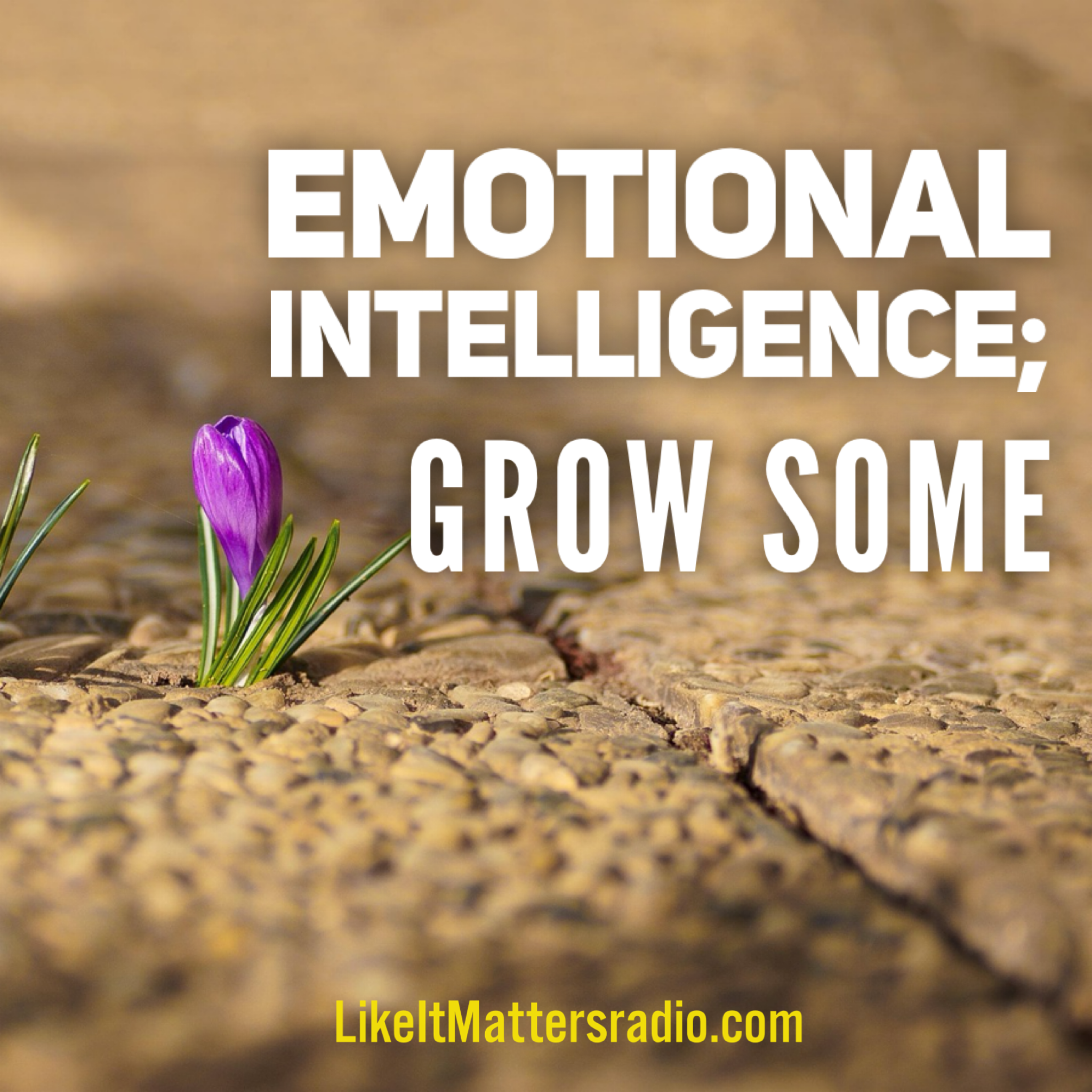 Like It Matters Radio S10E09 Emotional Intelllegence Grow Some