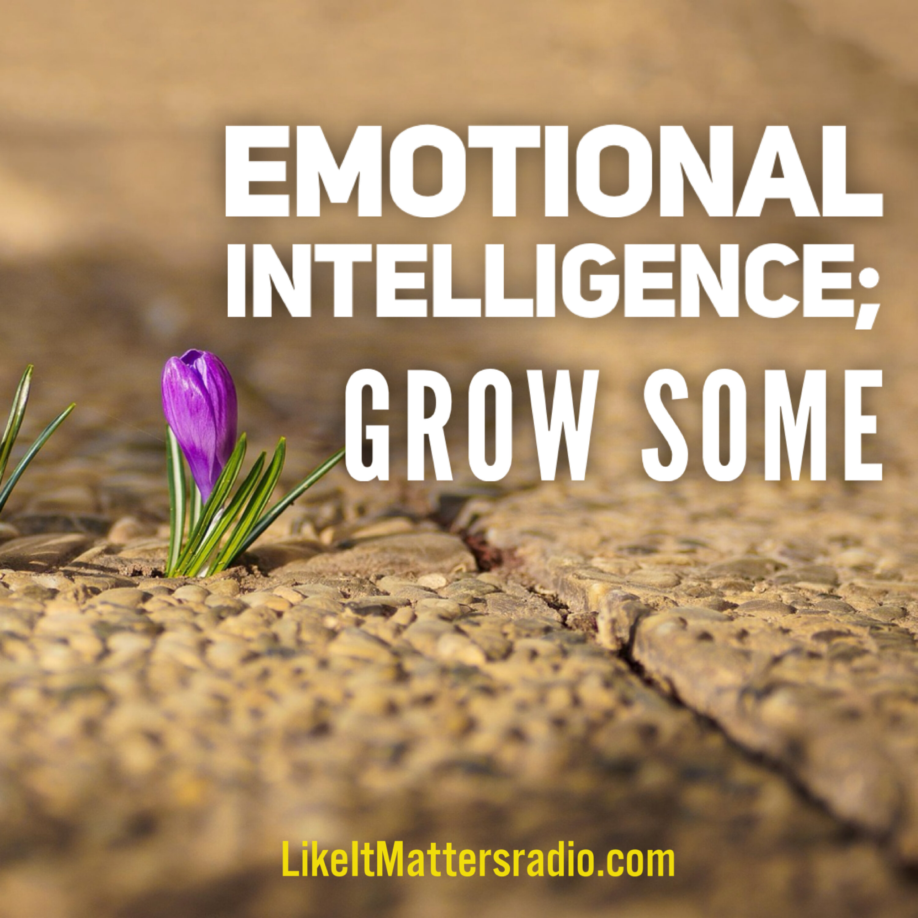 Like It Matters Radio S10E09 Emotional Intelllegence Grow Some