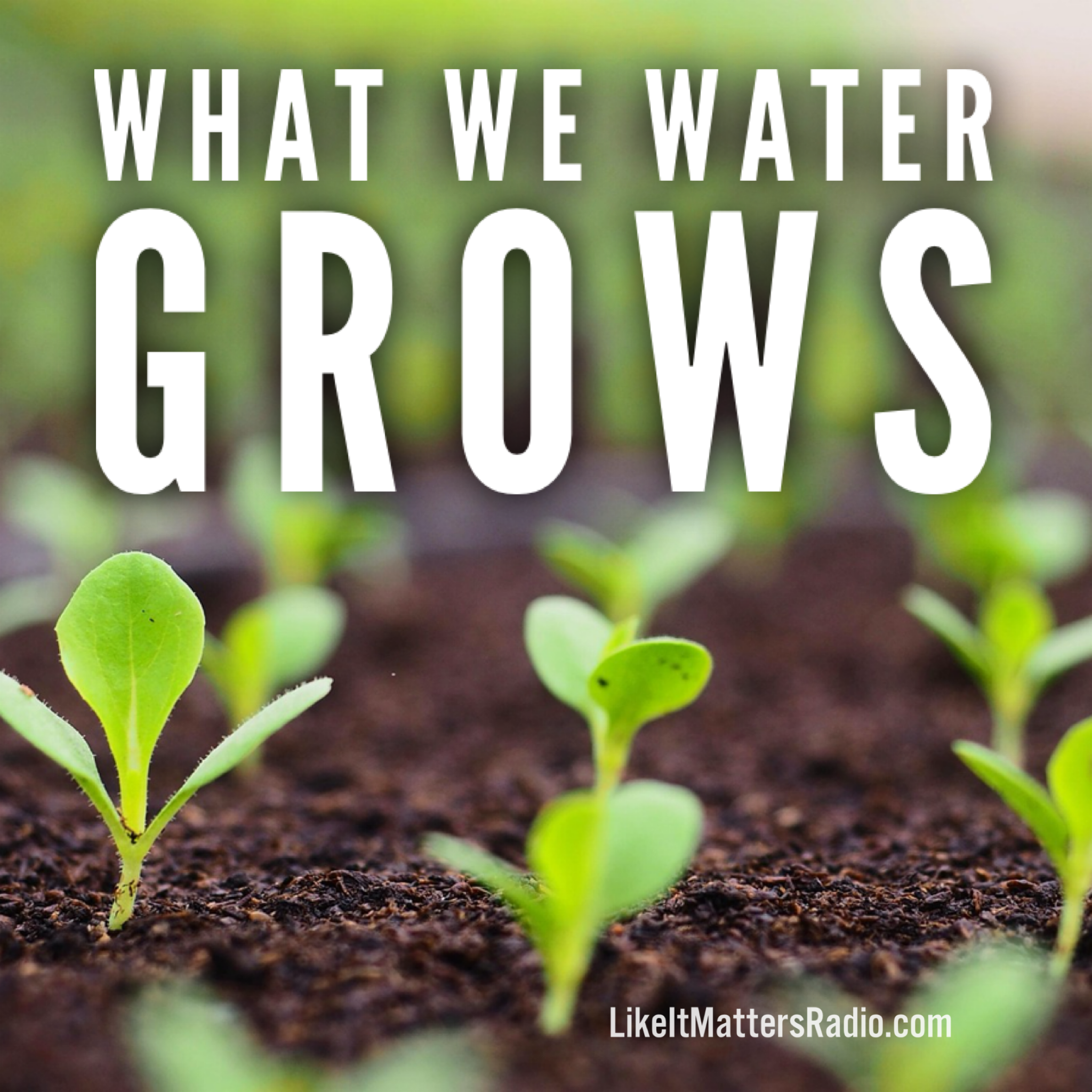 LIM Radio S10E22 What We Water Grows